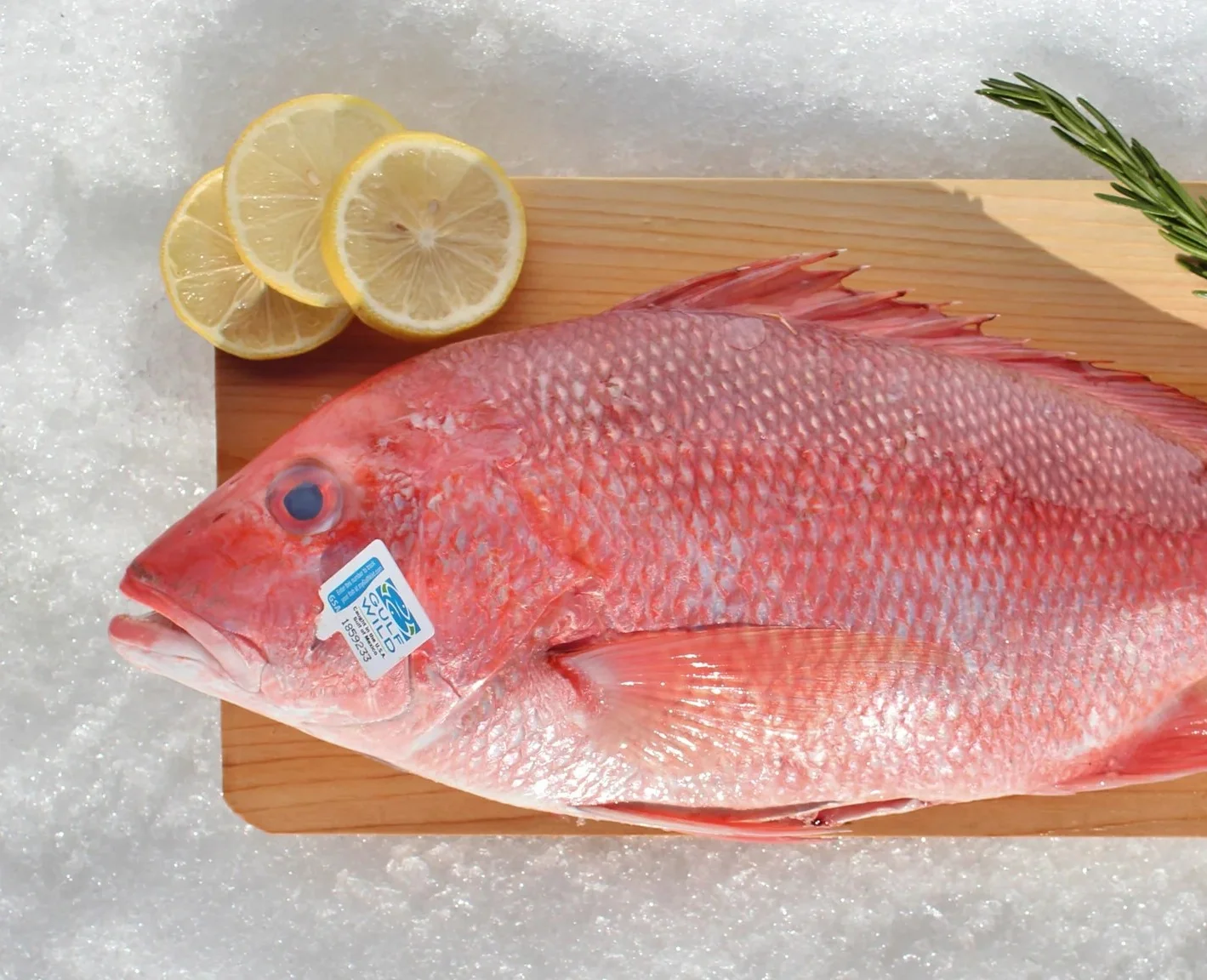 A whole, raw red snapper resting on a wooden board placed over a bed of crushed ice.