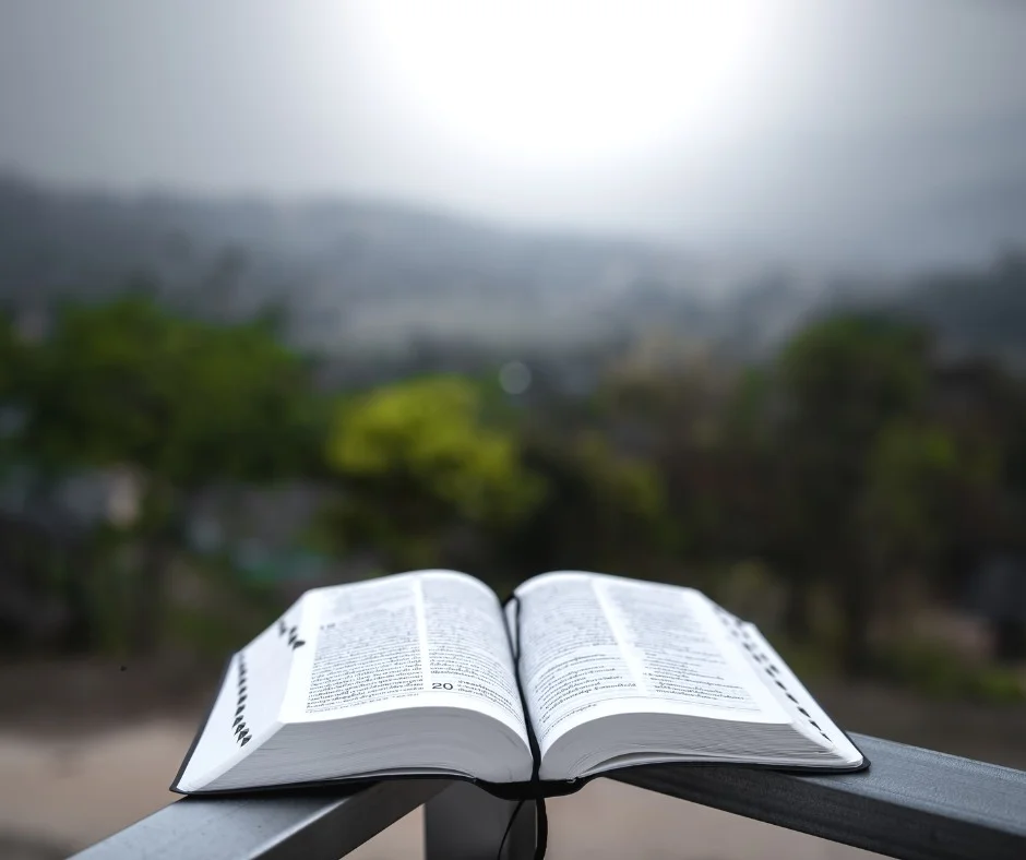 Open book with text, blurred nature background