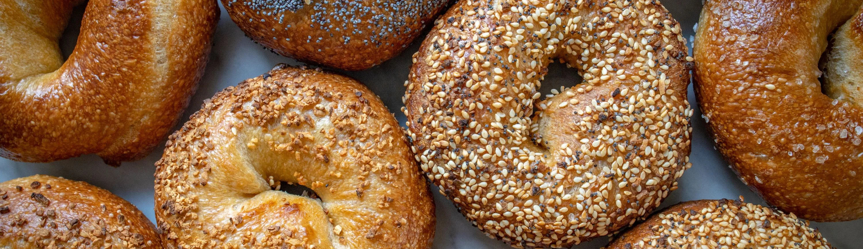 Best New York Bagels in Bluffton South Carolina
