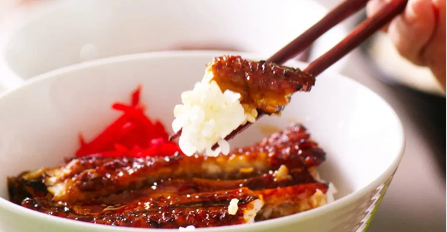 Japanese unagi don with grilled eel and rice