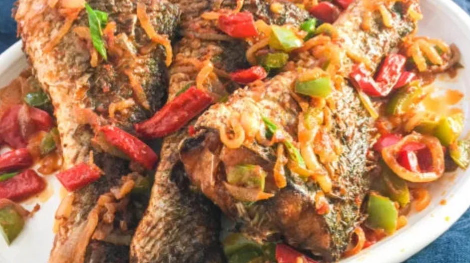 Croaker Fish