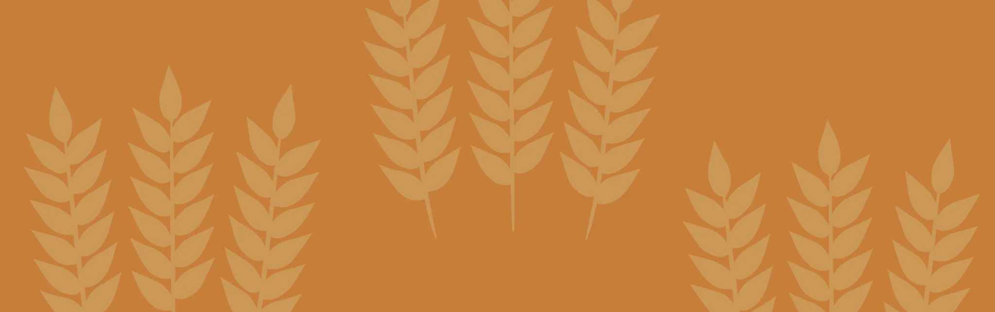 Stylized wheat graphic on an orange background