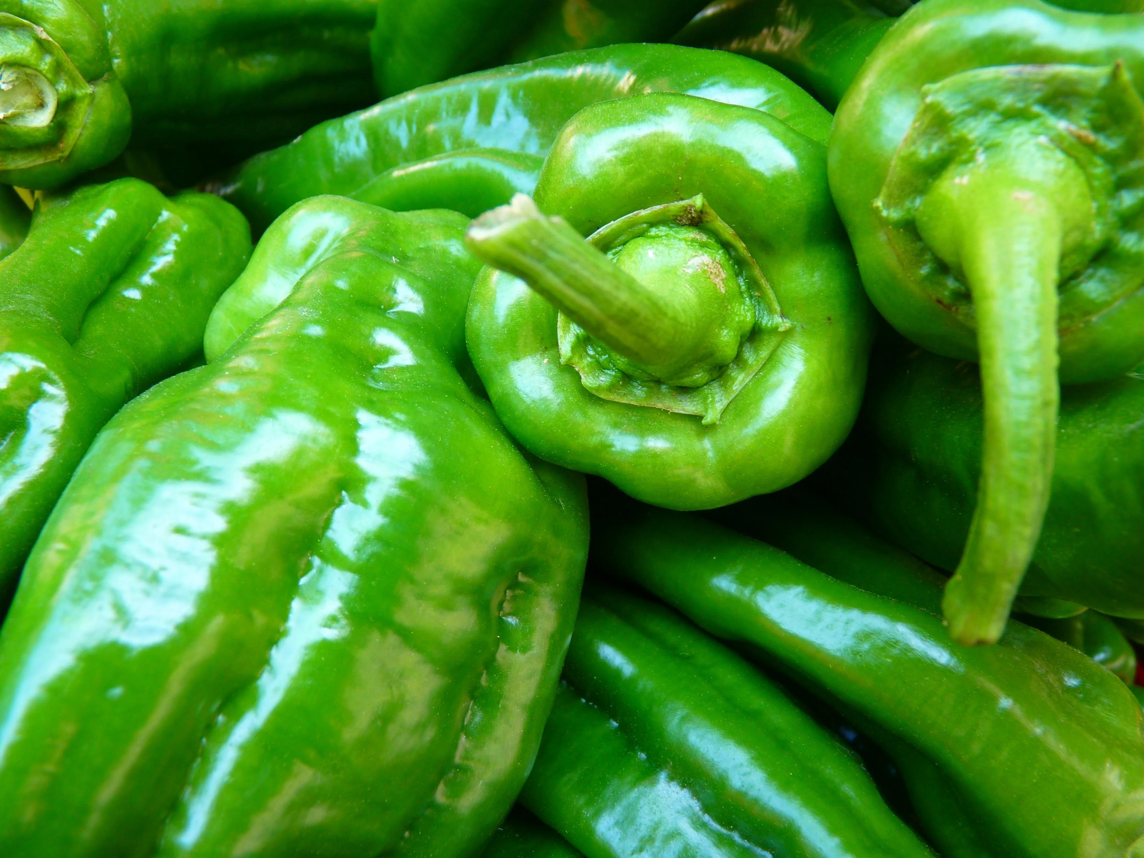 Close-up of fresh green chili peppers