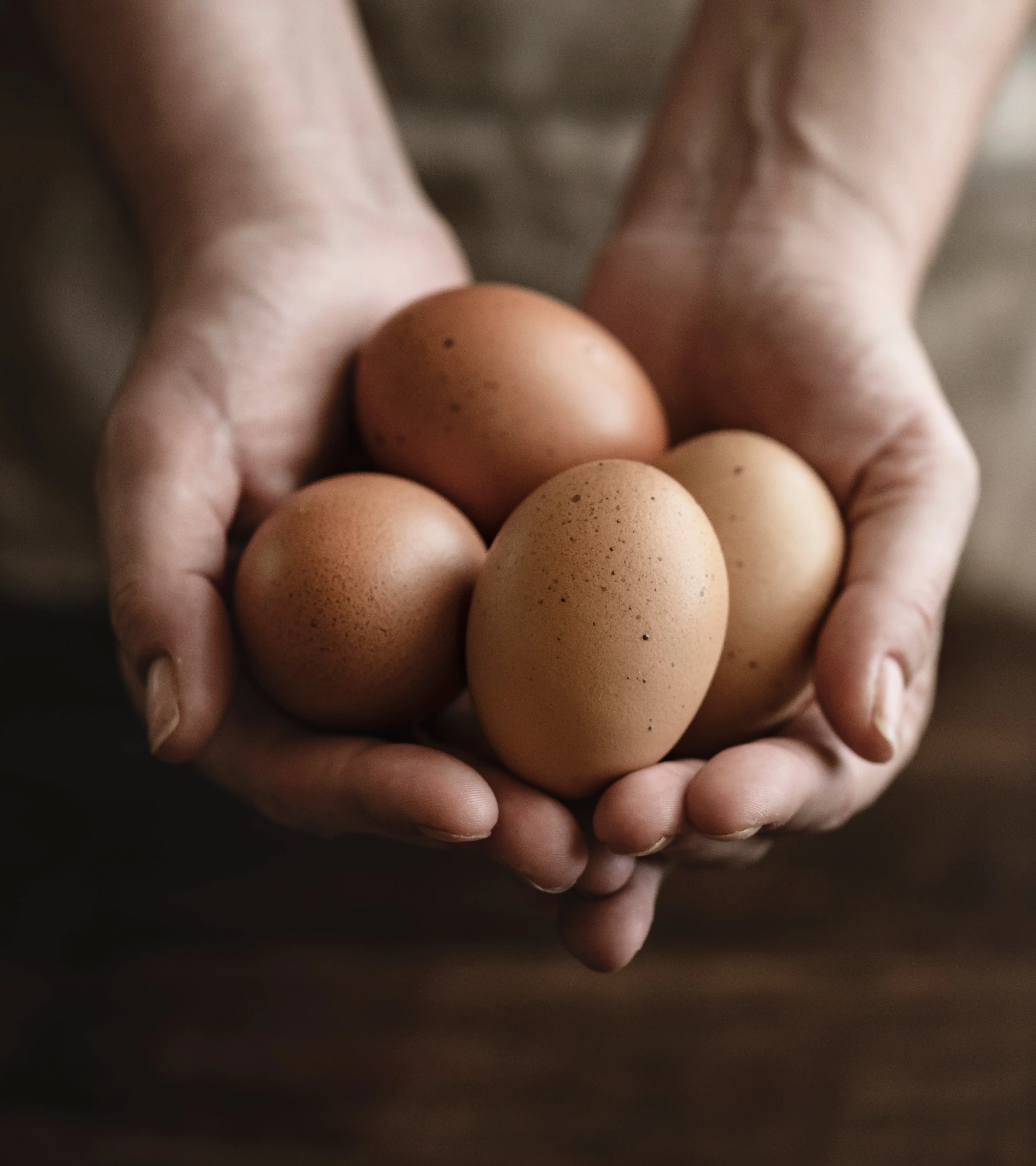Fresh farm eggs held in hands, showcasing natural colors and textures