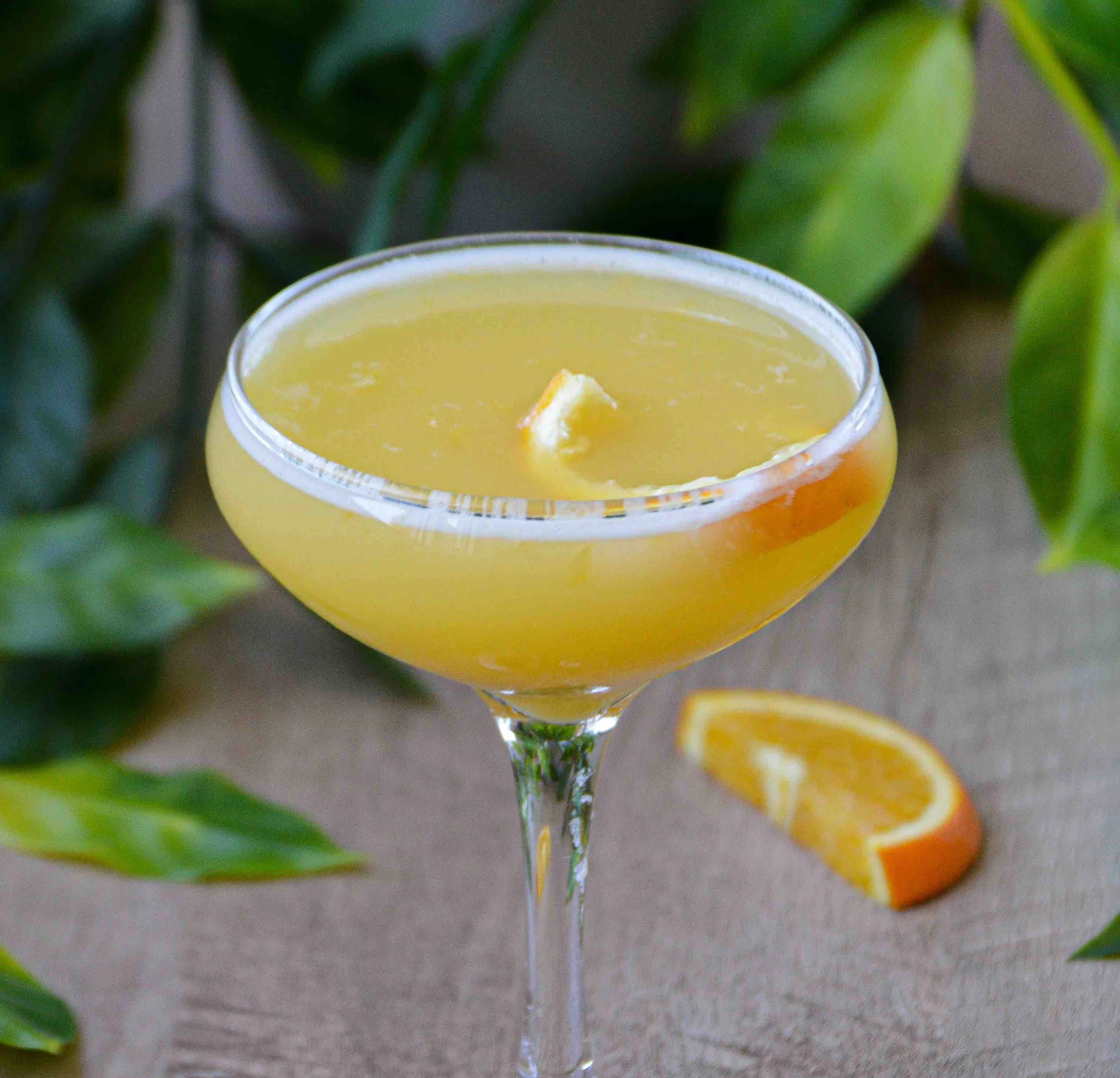 Sunshine cocktail surrounded by orange slices and greenery