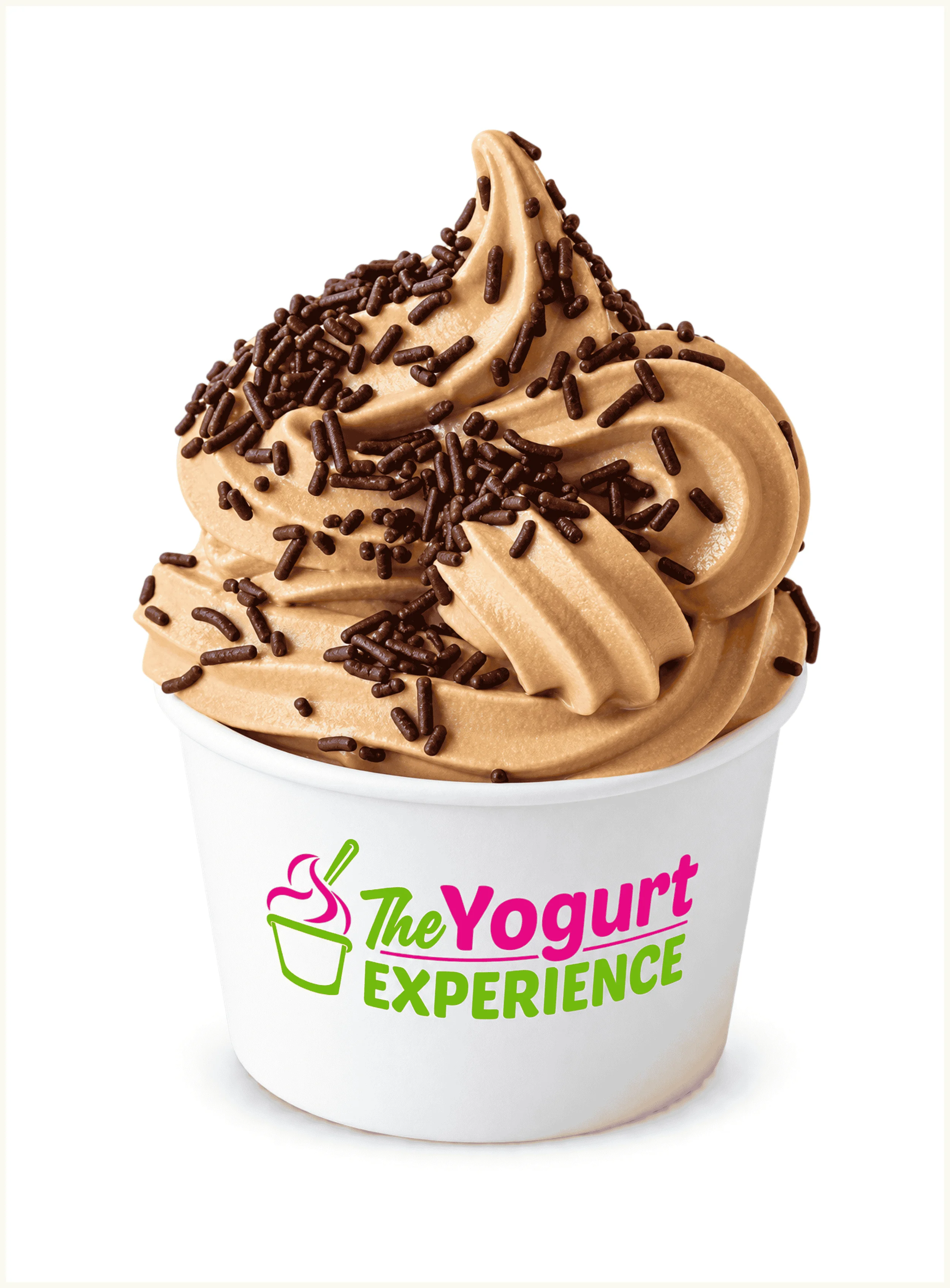 Creamy frozen yogurt topped with chocolate chunks