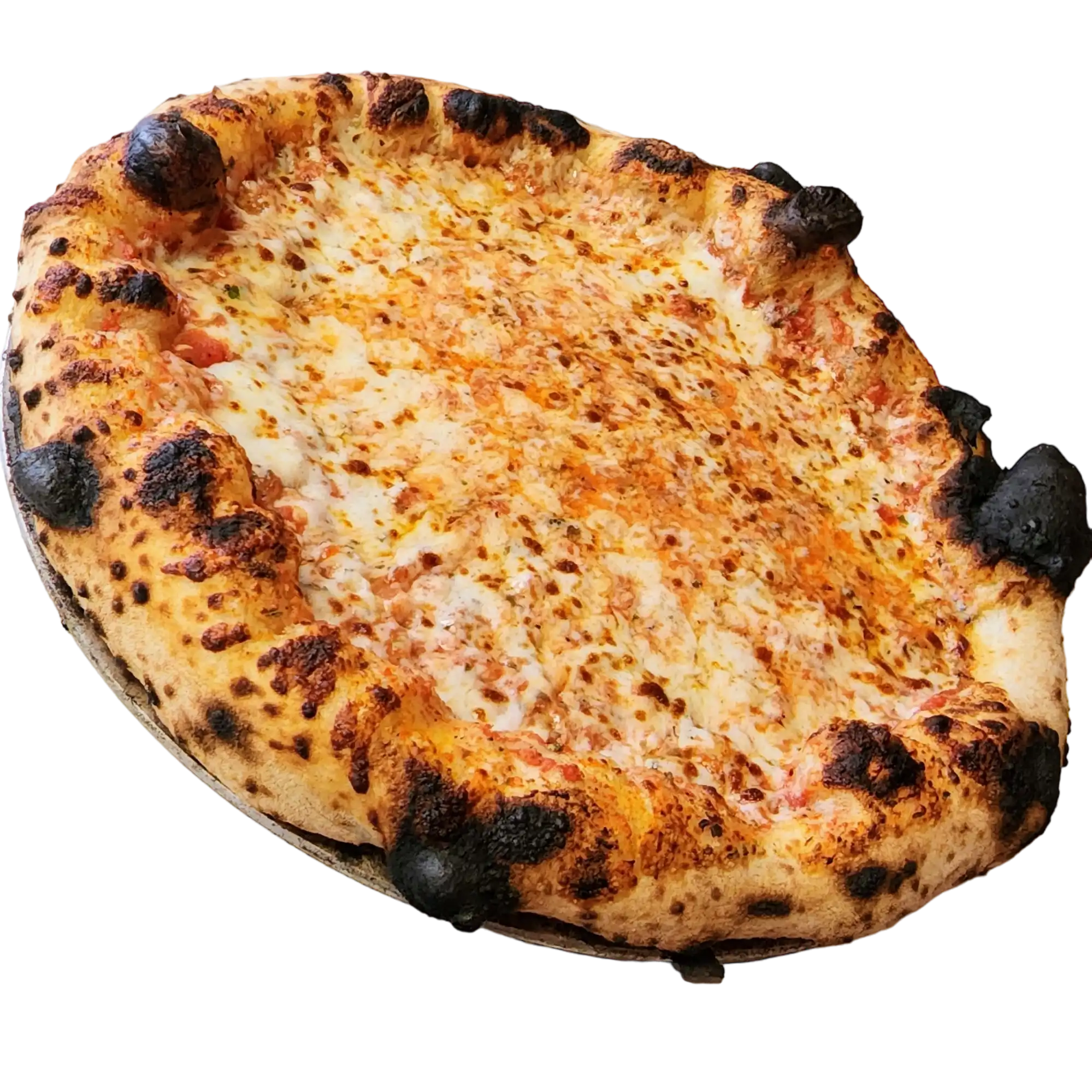 Banner image