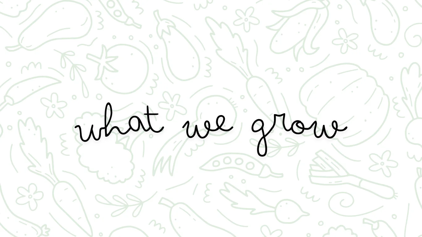 Illustration of various vegetables with the phrase 'what we grow'