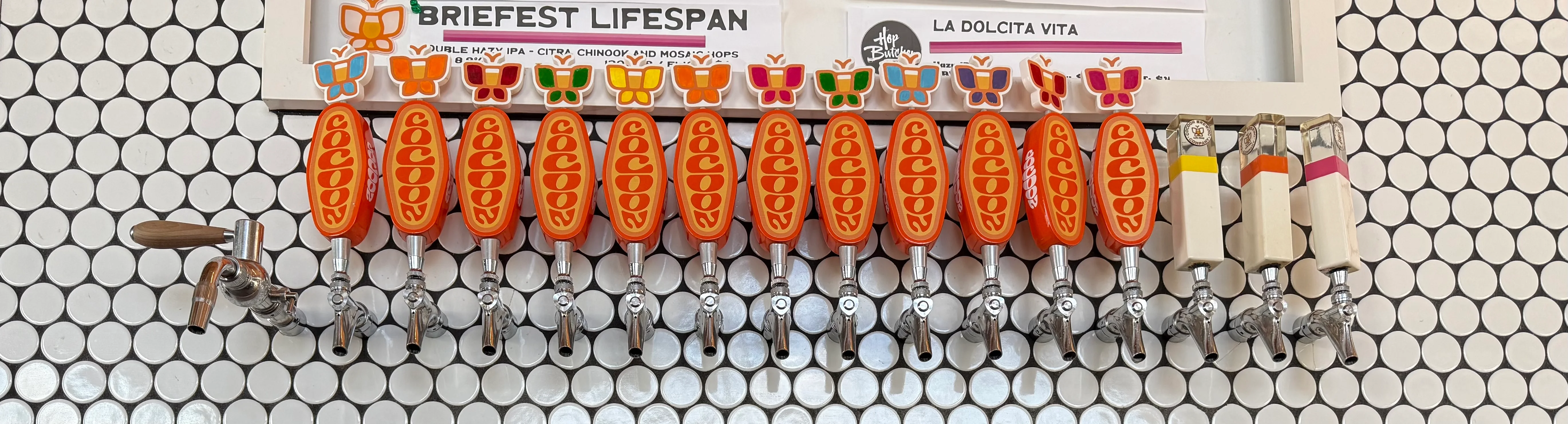 Cocoon Brewing photo 4