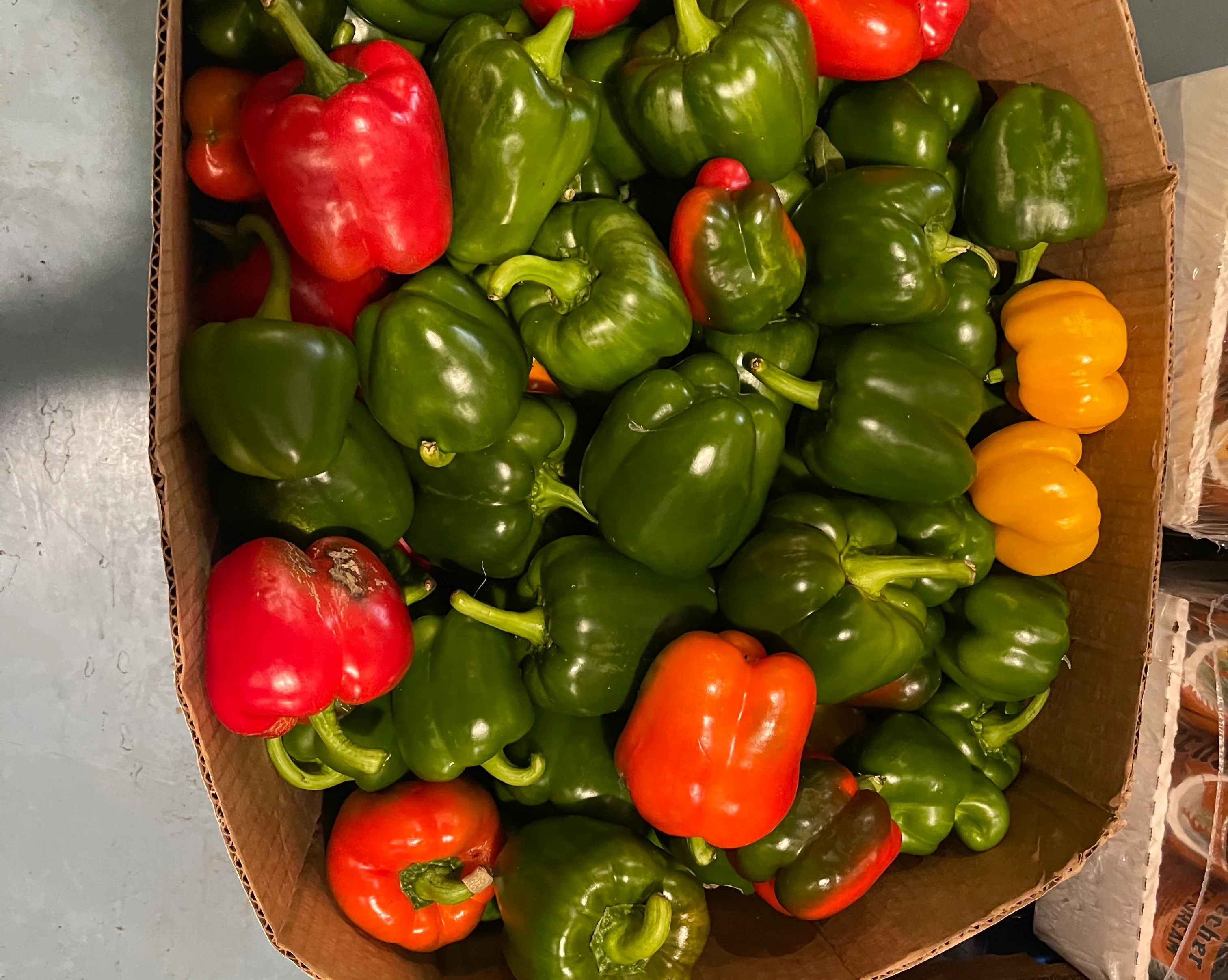 Colorful bell peppers in a cardboard box for fresh ingredient preparation