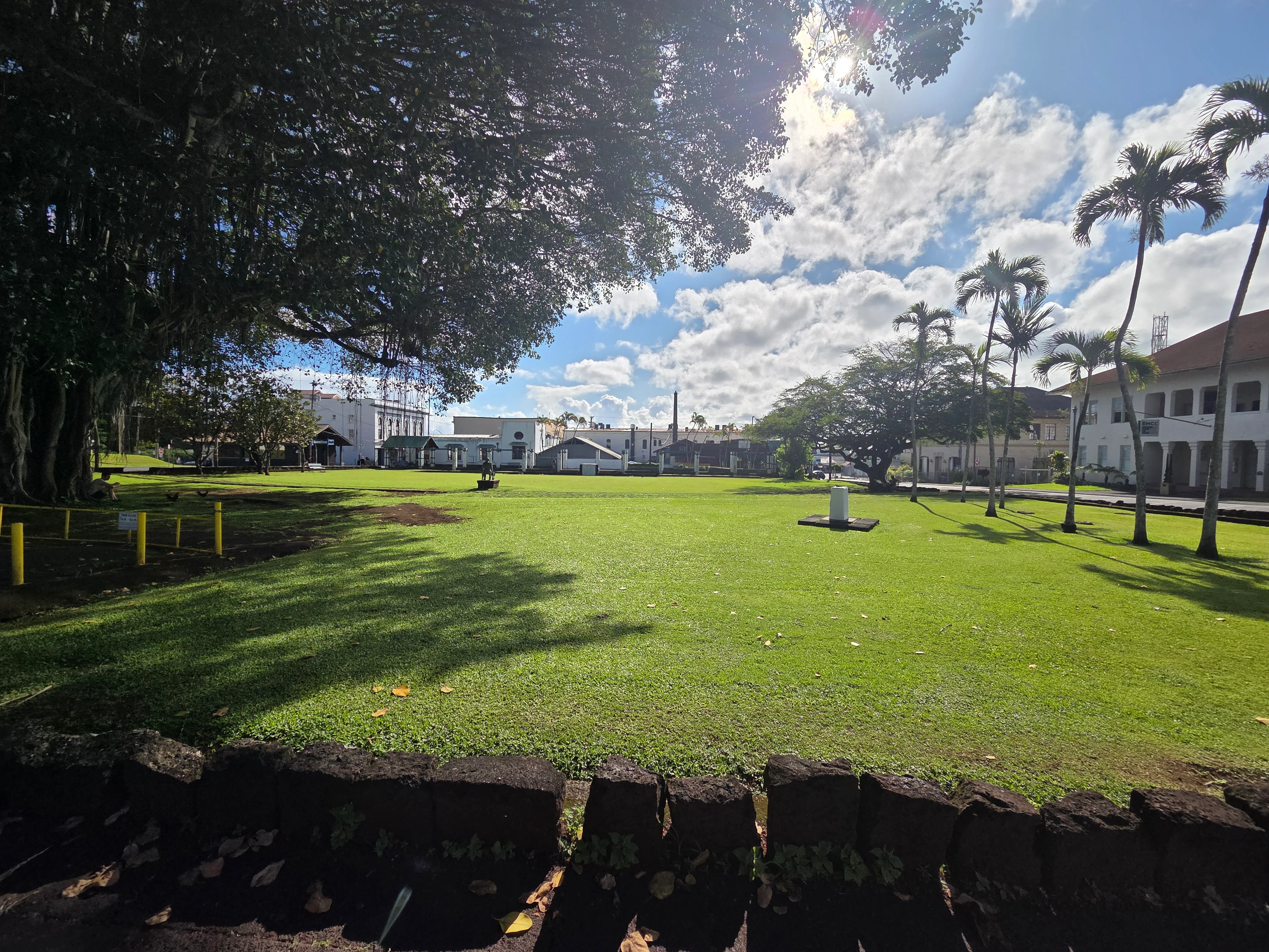 Lush green park with palm trees and blue sky