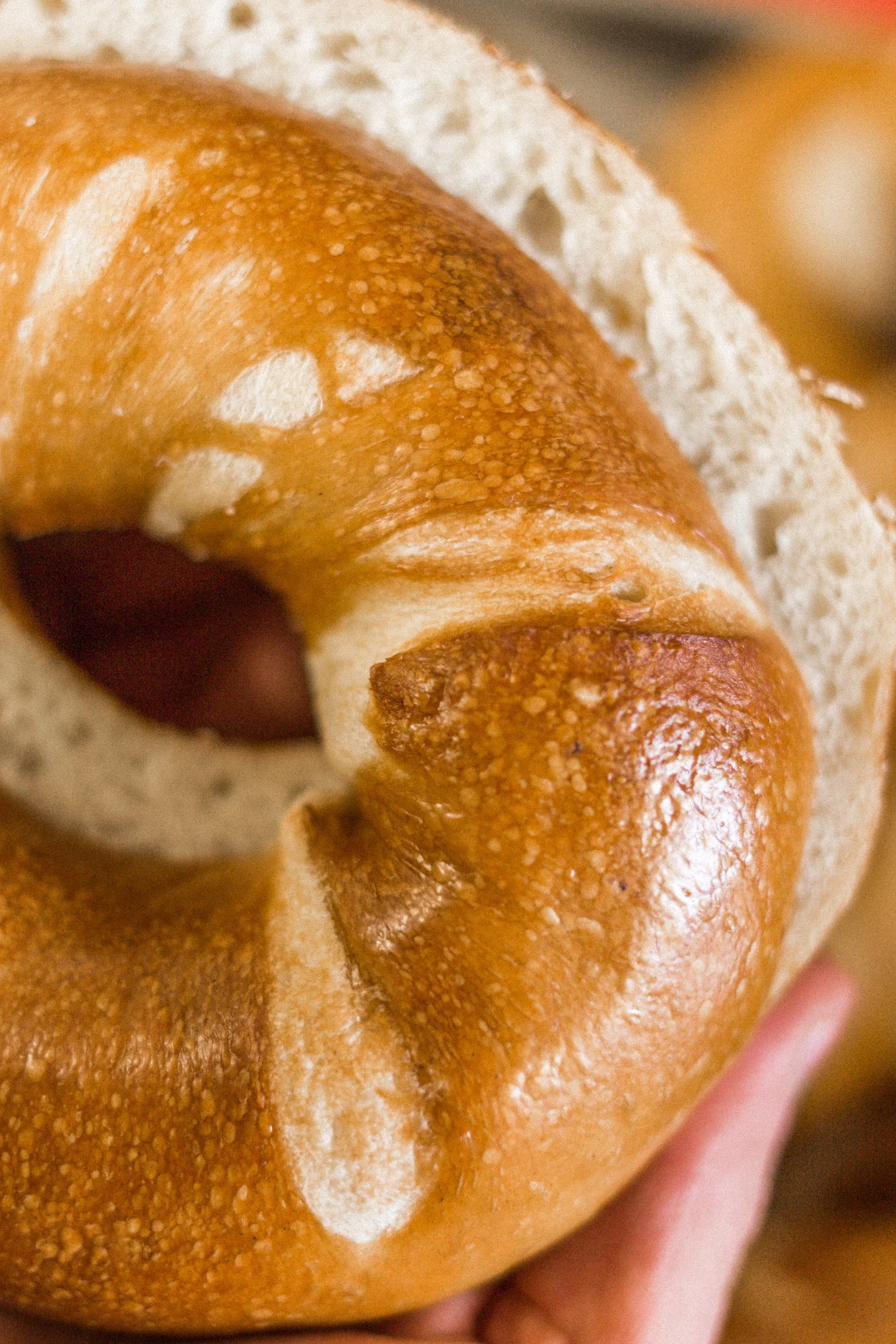 Freshly baked New York-style bagel held in hand