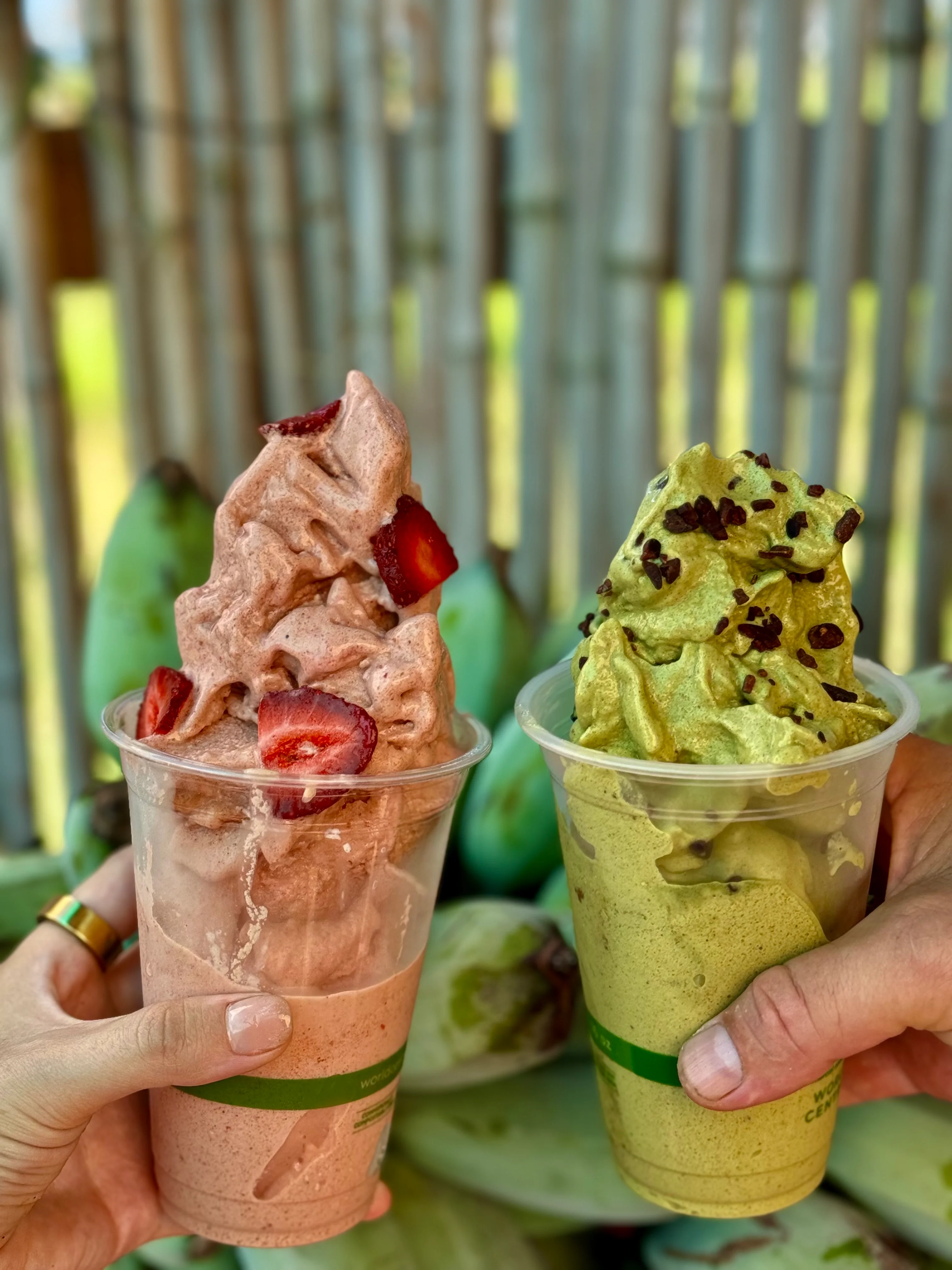 Delicious soft serve ice cream in chocolate and matcha flavors