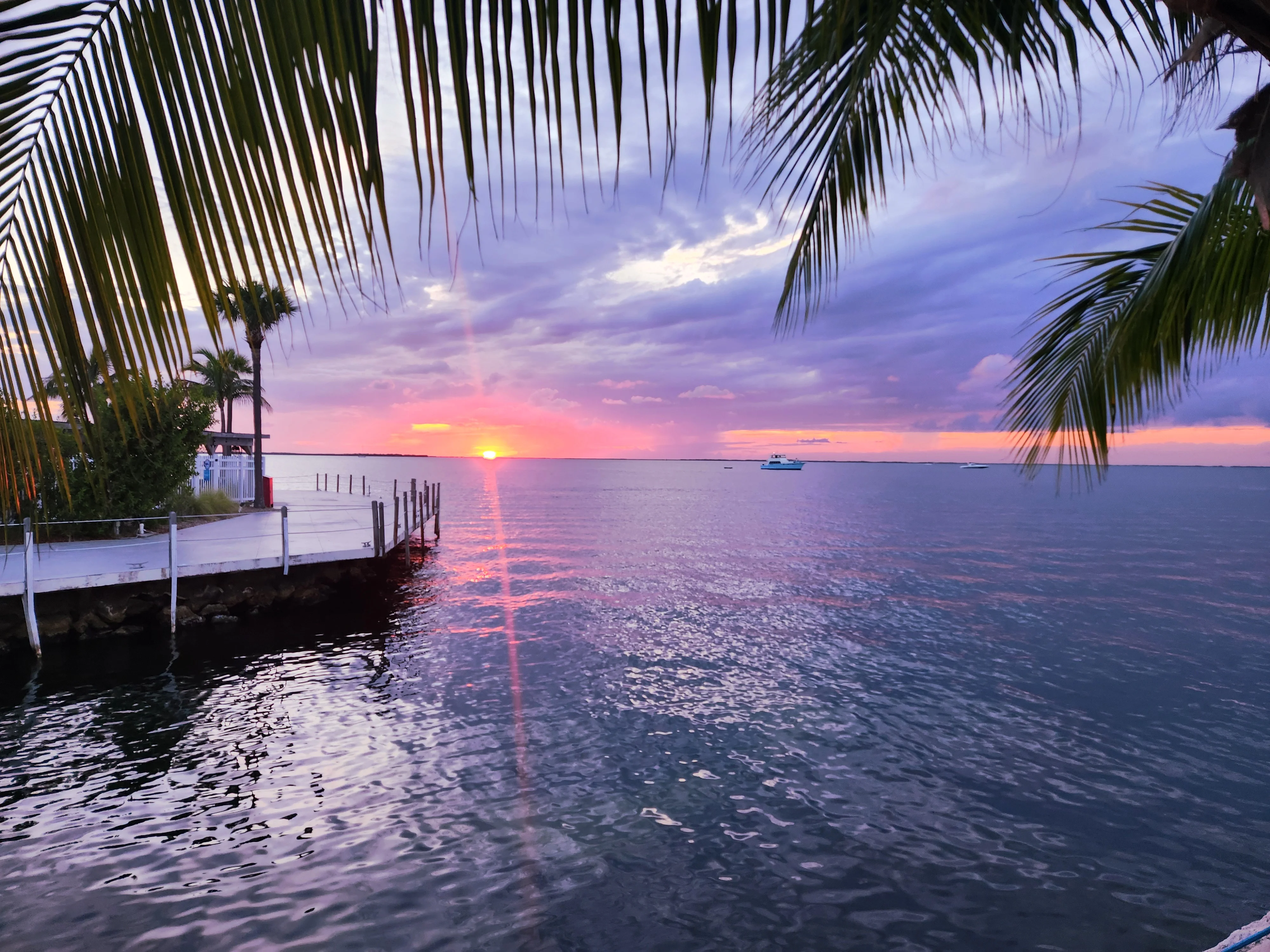 Sunset over calm waters with palm trees and a dock