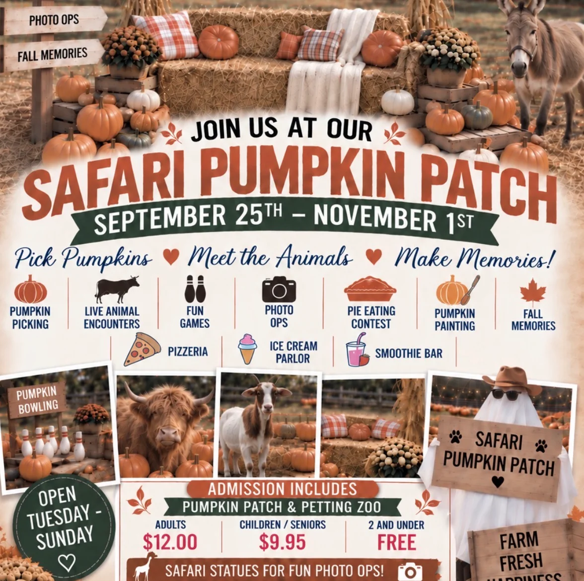 Family-friendly pumpkin patch with activities and animals for fall fun