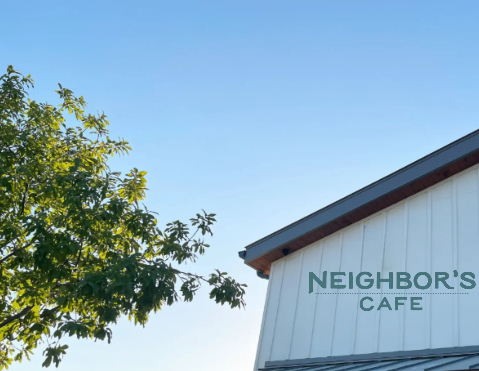 Cafe exterior with leafy tree and clear blue sky