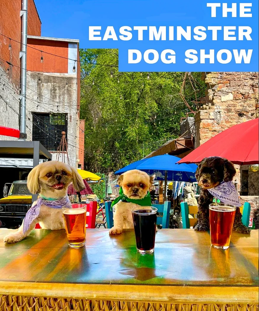 dogs with pints of beer on Saint Paul Brewing patio