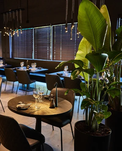 Modern restaurant interior with elegant decor and plants