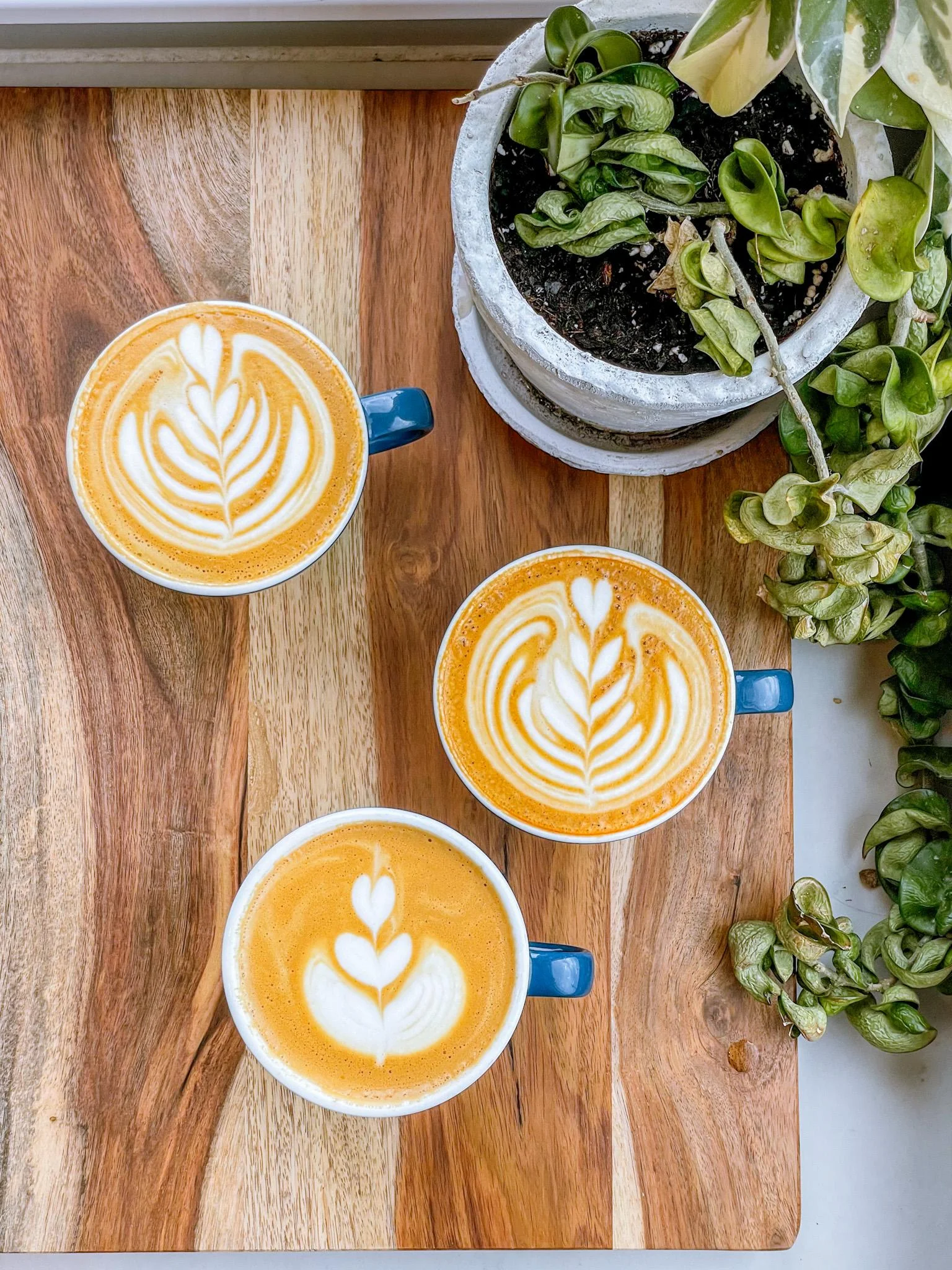 Cappuccino
