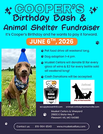 Event flyer for Cooper's birthday and animal shelter fundraiser