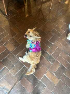 Photo from Ashley W.'s review