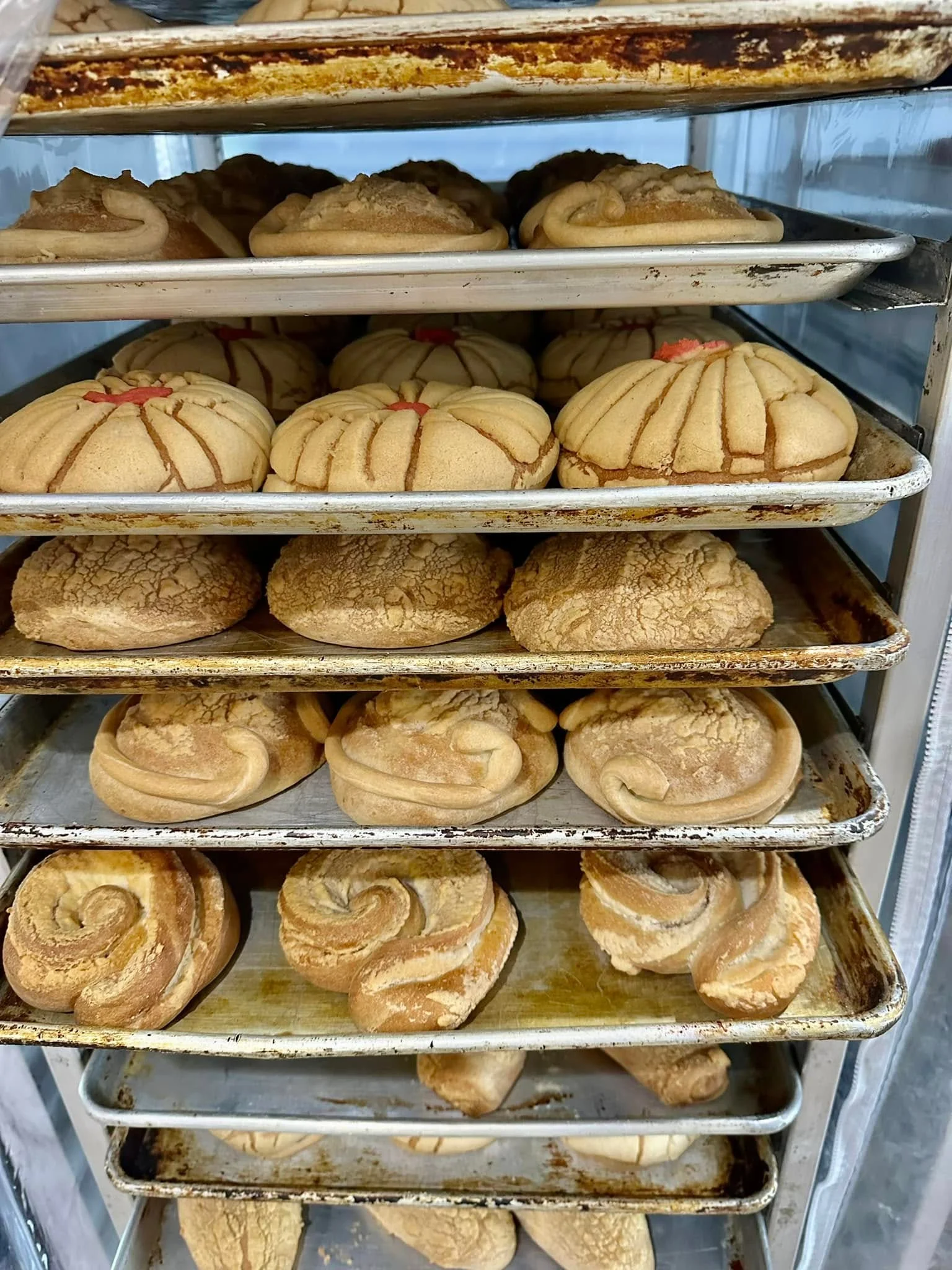 Freshly baked Mexican conchas on trays