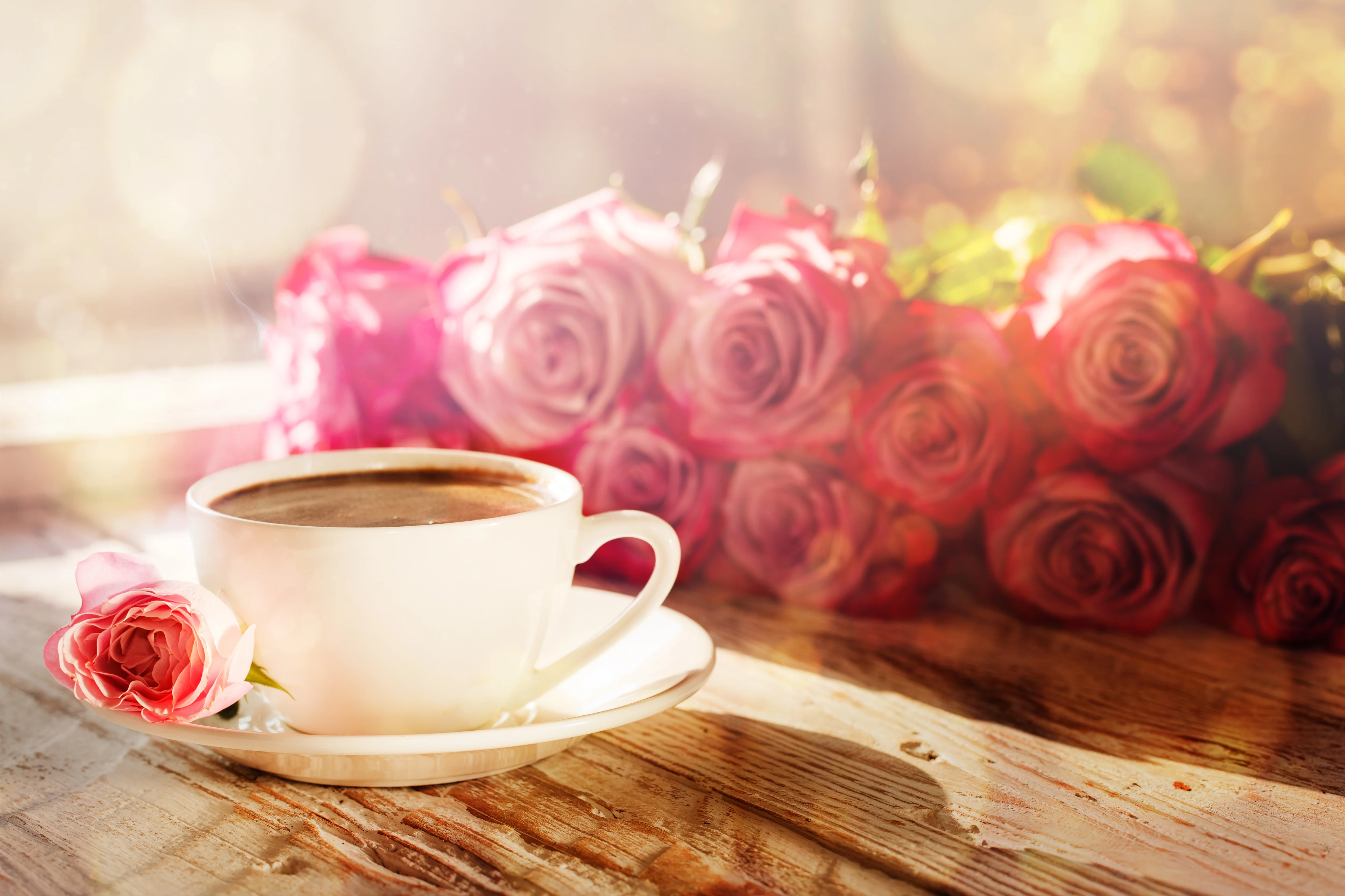 A cup of coffee with a pink rose beside it, set against a backdrop of roses.