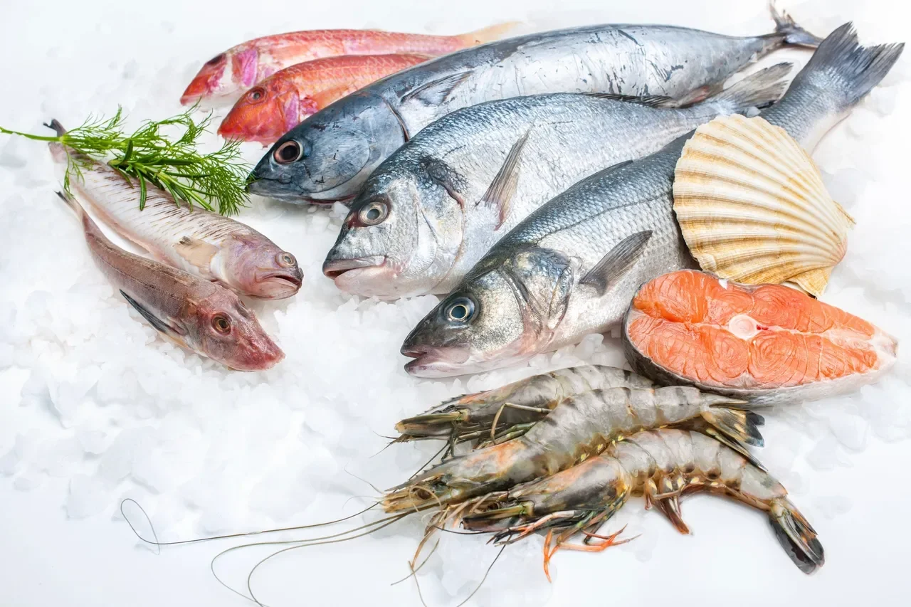 Fresh seafood assortment for Mediterranean cuisine