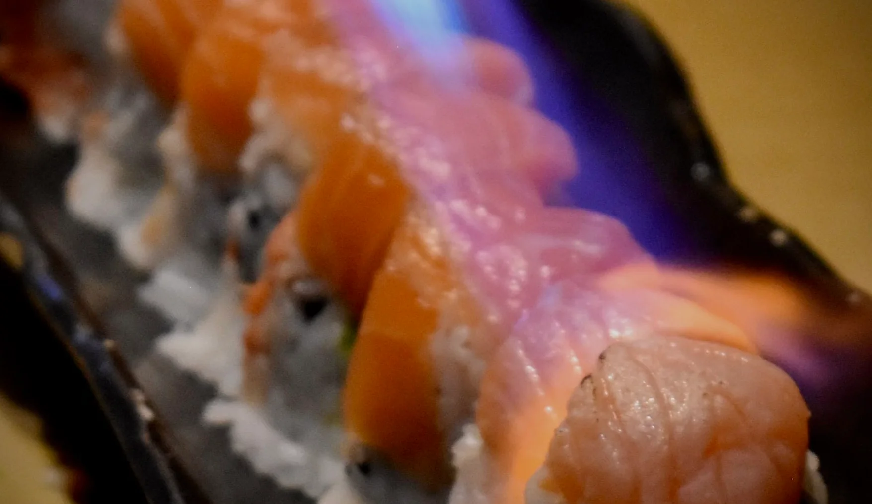 Flame-seared sushi roll with salmon in Japanese cuisine
