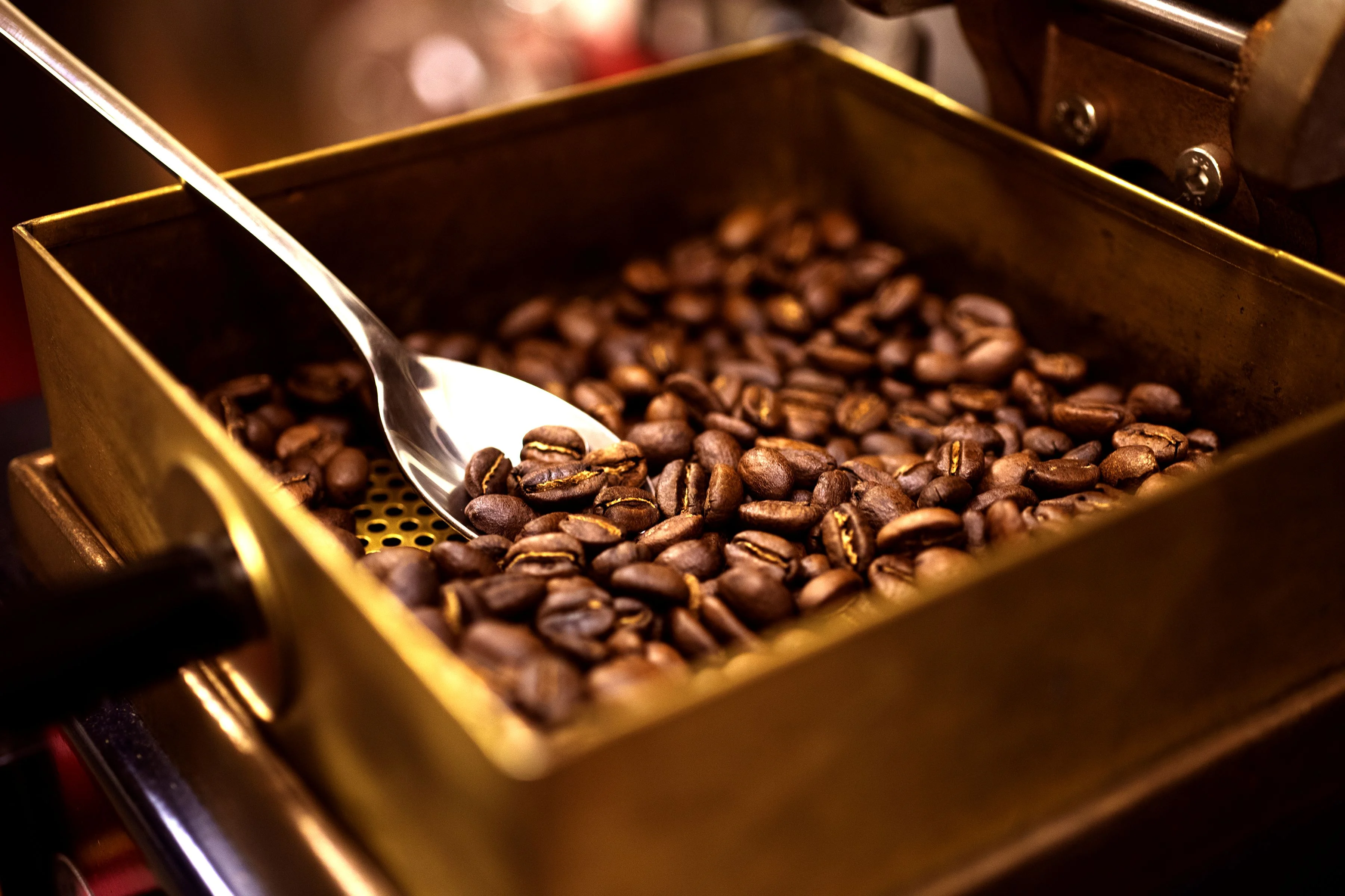 A metal tray filled with roasted coffee beans, a silver spoon resting on top. The warm lighting enhances the rich brown tones, creating a cozy atmosphere.