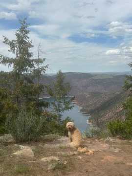 Photo from Jane D.'s review