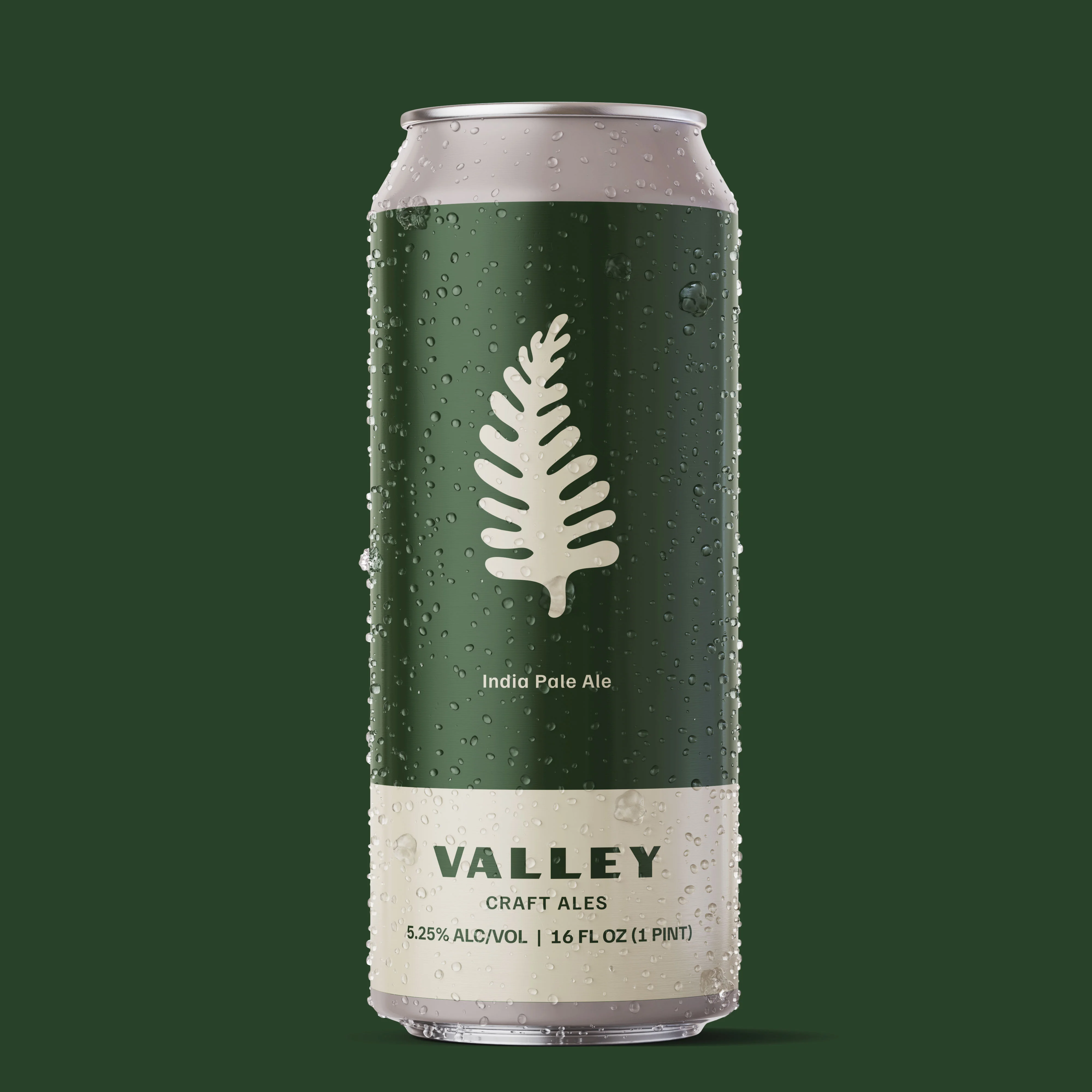 Craft beer can of India Pale Ale with a modern design