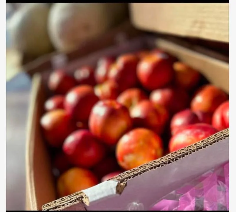 A box filled with numerous fresh red apples, showcasing their vibrant colors and smooth textures.
