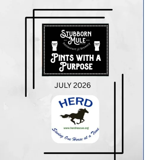 Promotional poster for Pints with a Purpose event at Stubborn Mule