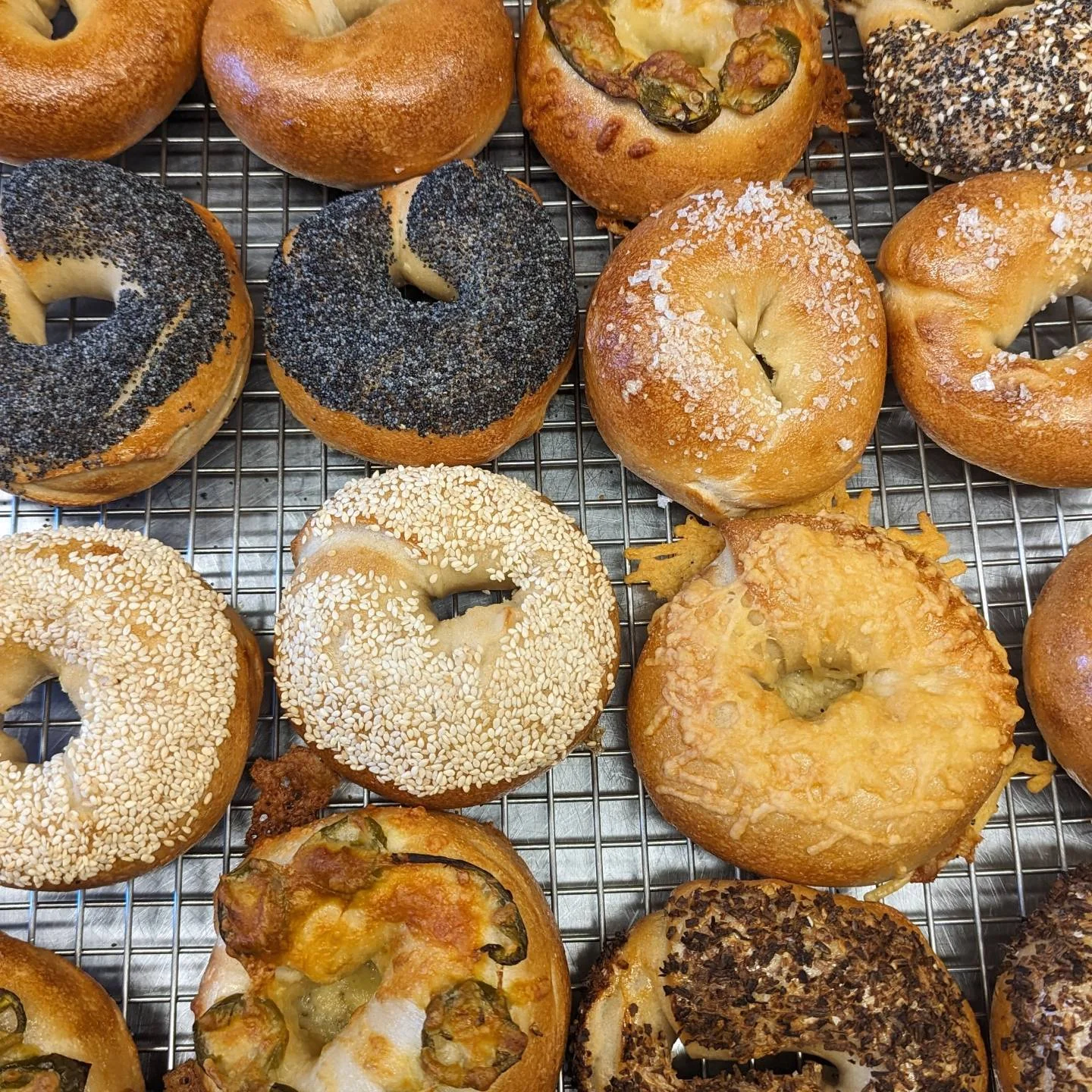 Freshly baked bagels assortment on a cooling rack