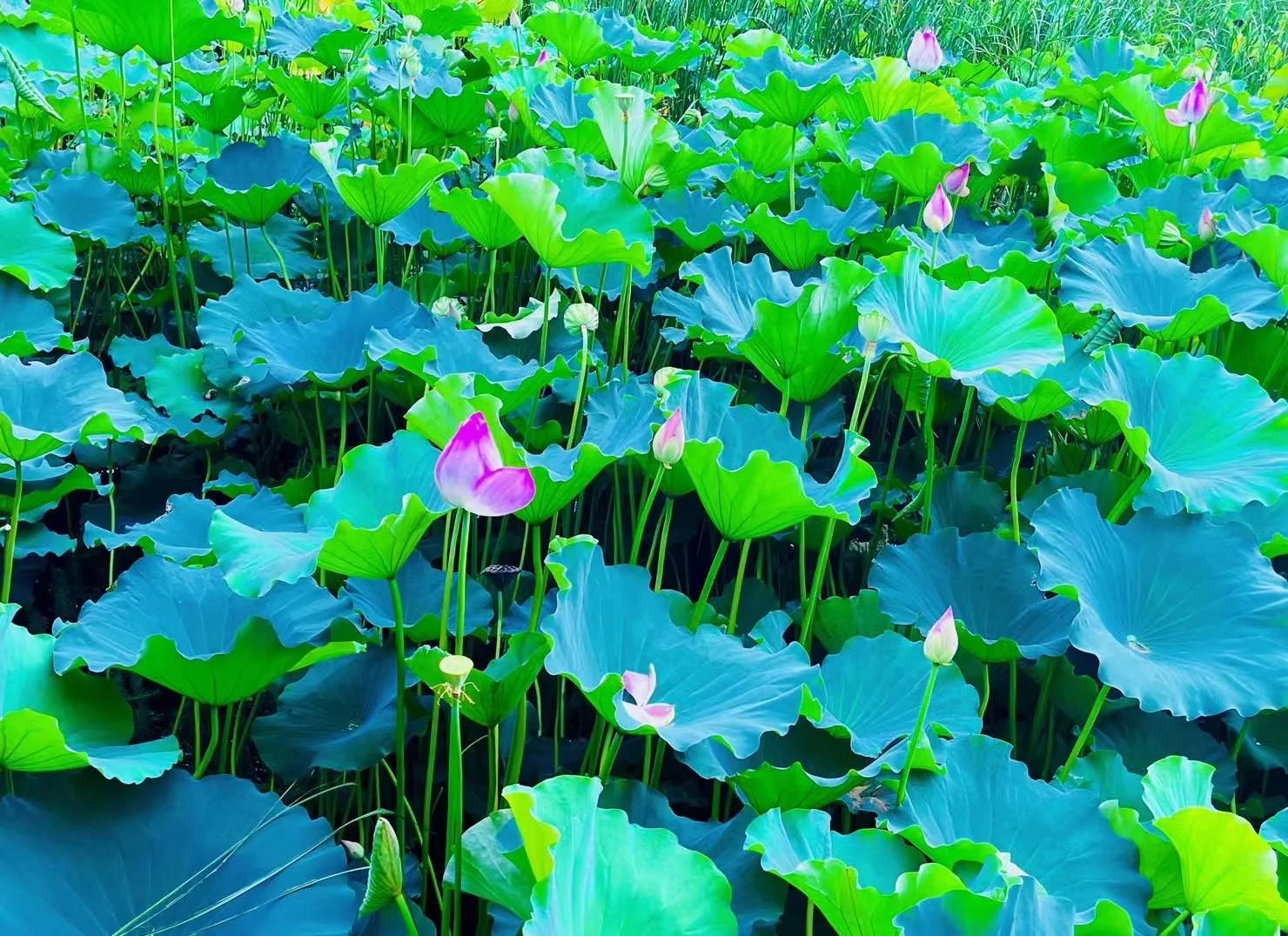 User-uploaded image