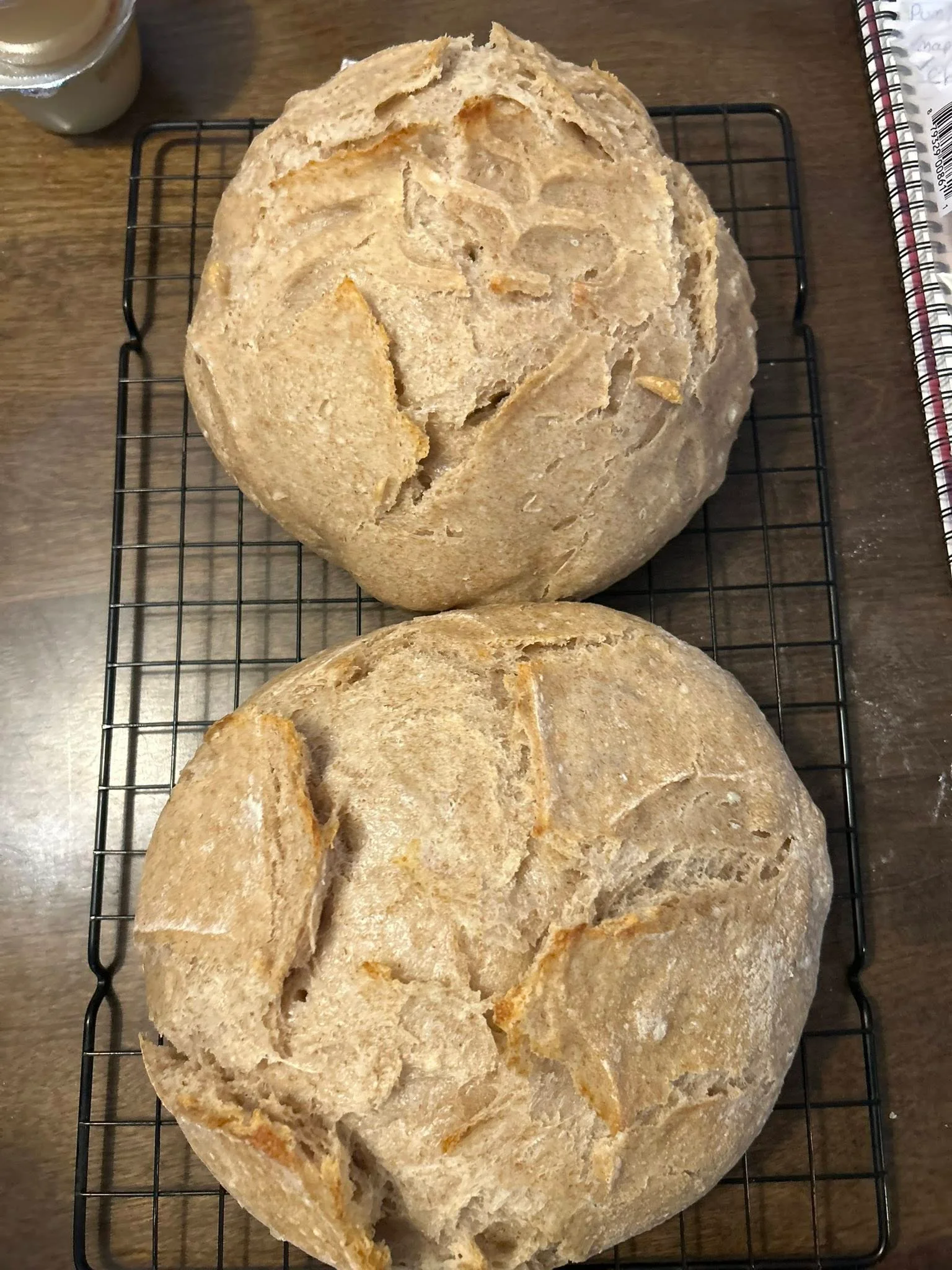 Freshly baked whole wheat bread loaves cooling on a rack