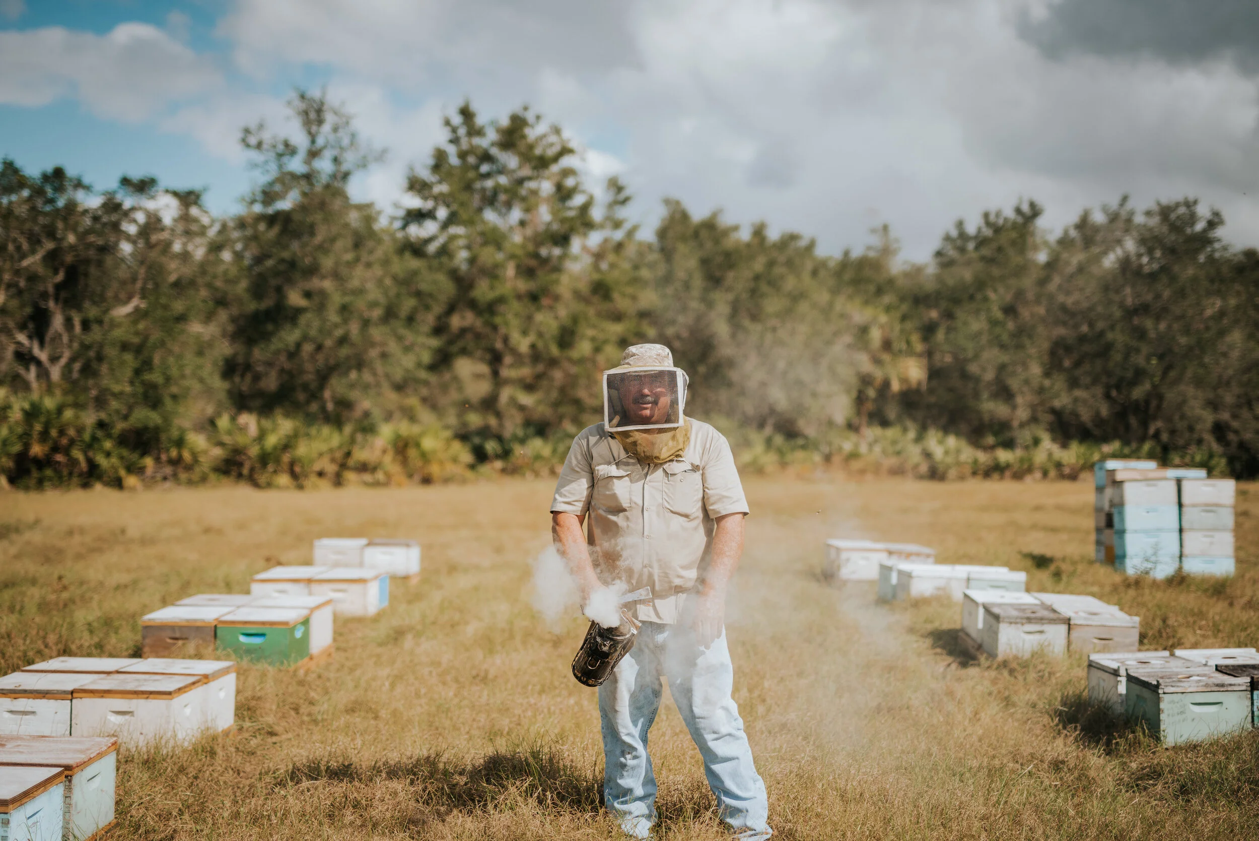 Beekeeper tending to hives in a sunny field