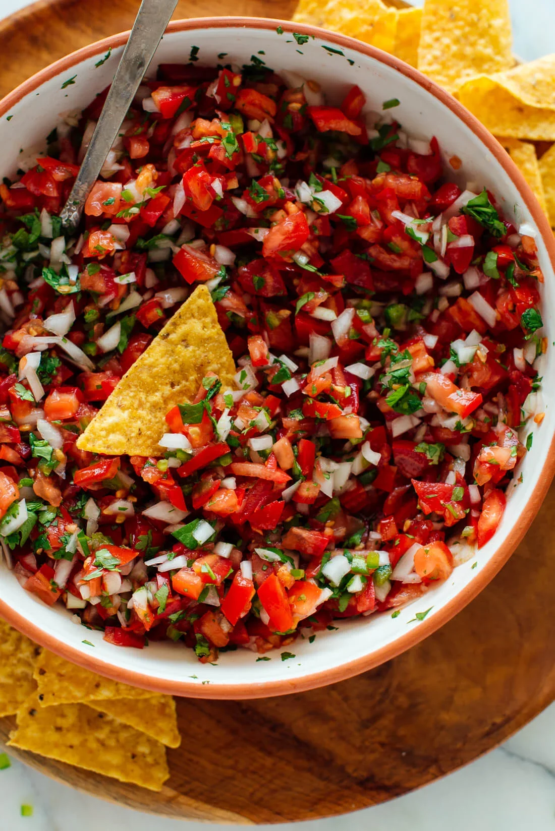 Fresh Mexican pico de gallo salsa with tortilla chips