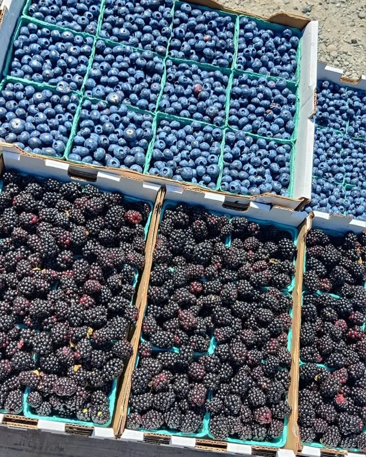 Baskets filled with fresh blueberries and blackberries, organized neatly for sale.