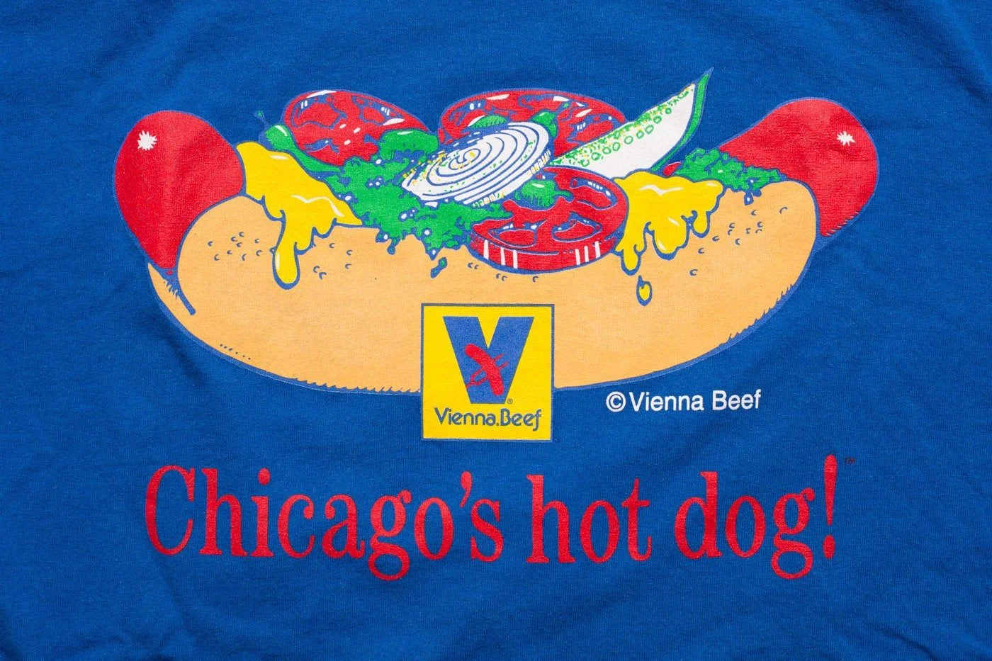 Chicago-style hot dog with toppings