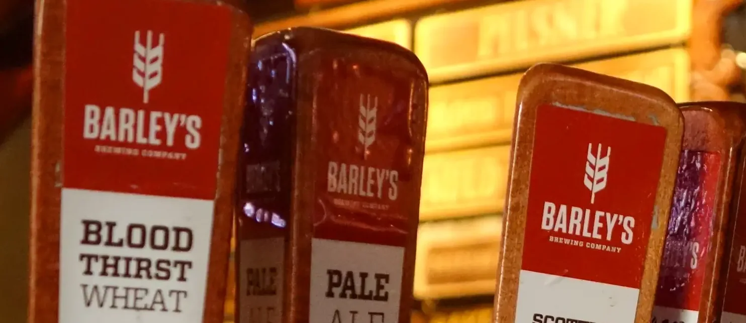 A restaurant chef preparing a dish