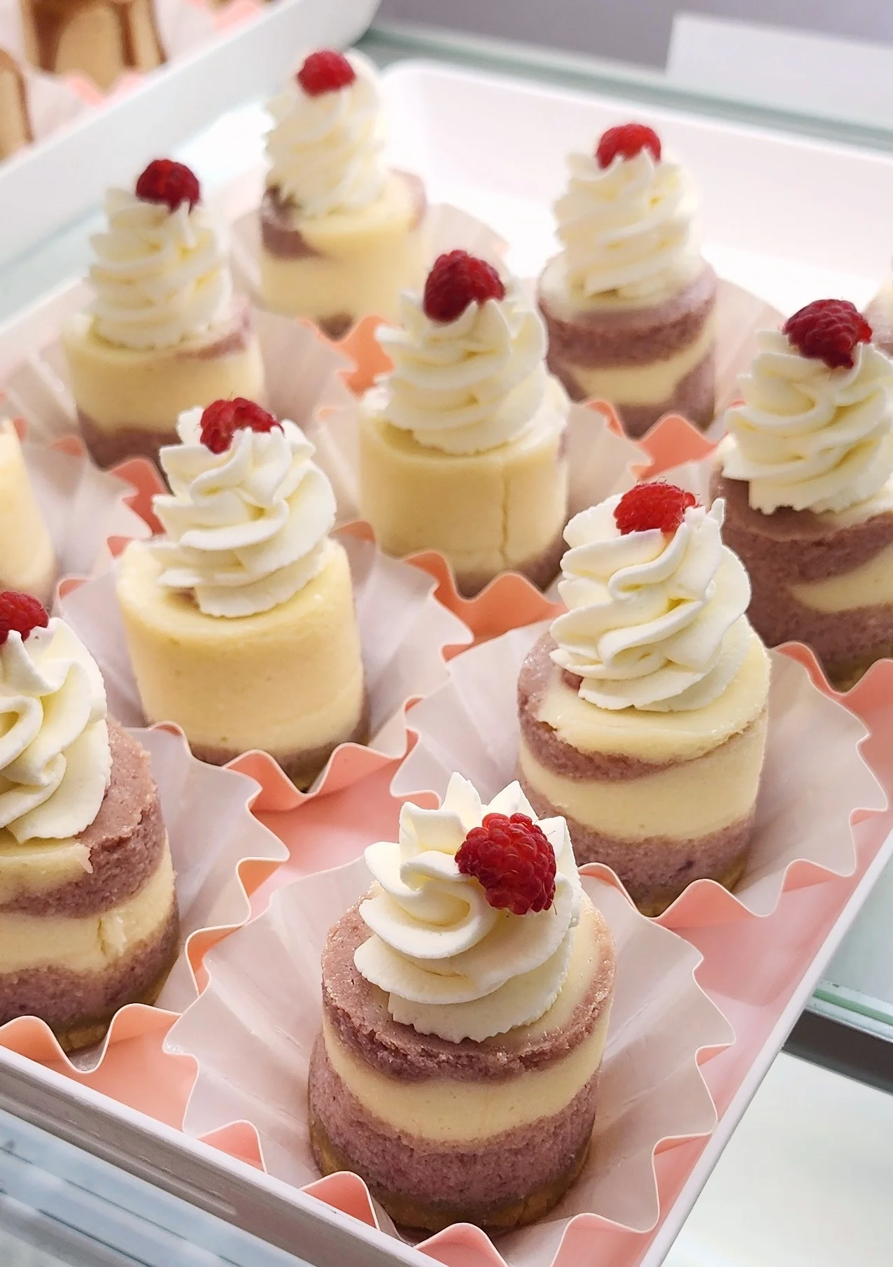 Mini raspberry mousse cakes with whipped cream