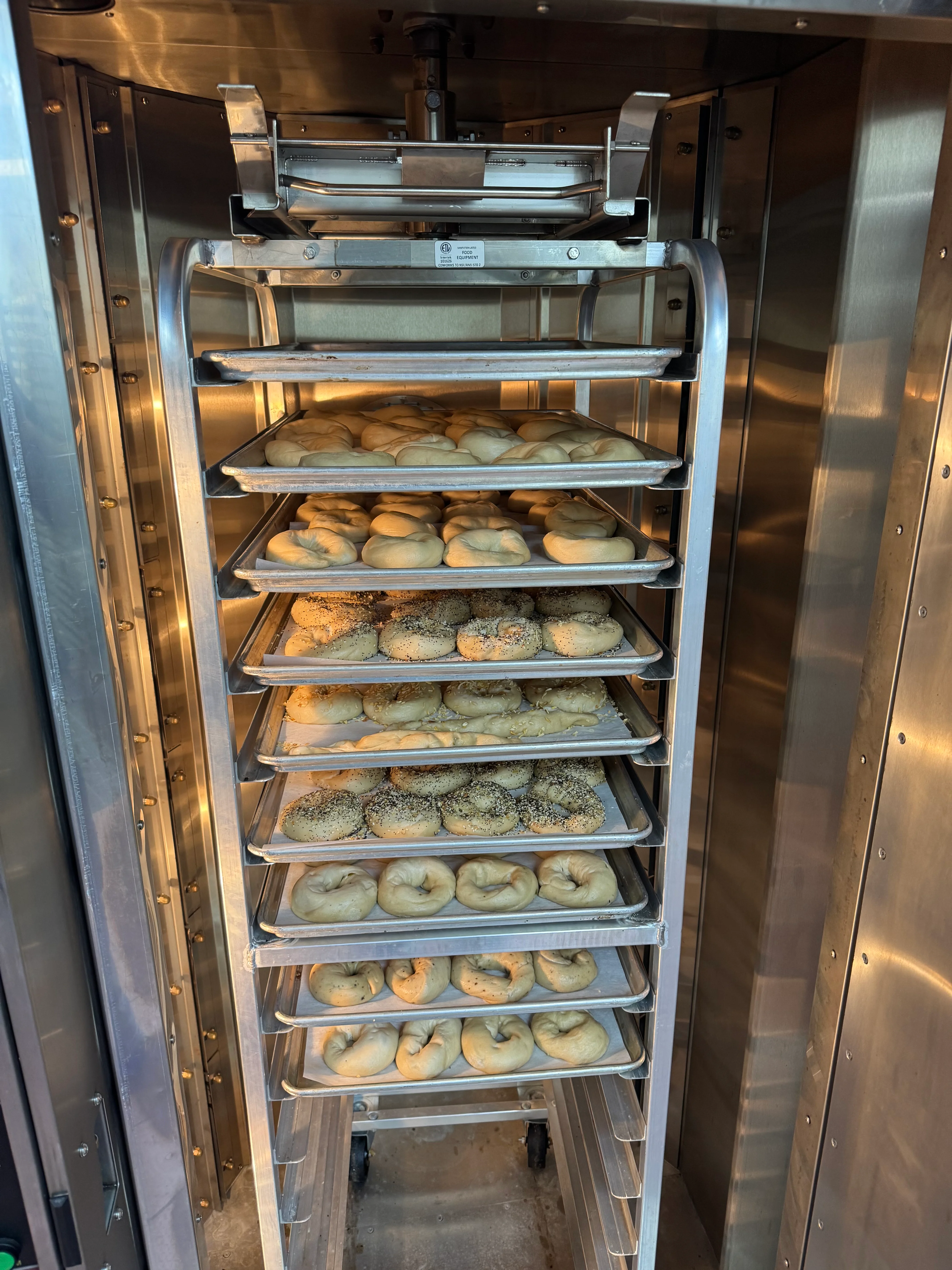 Freshly baked bagels on racks in a commercial oven