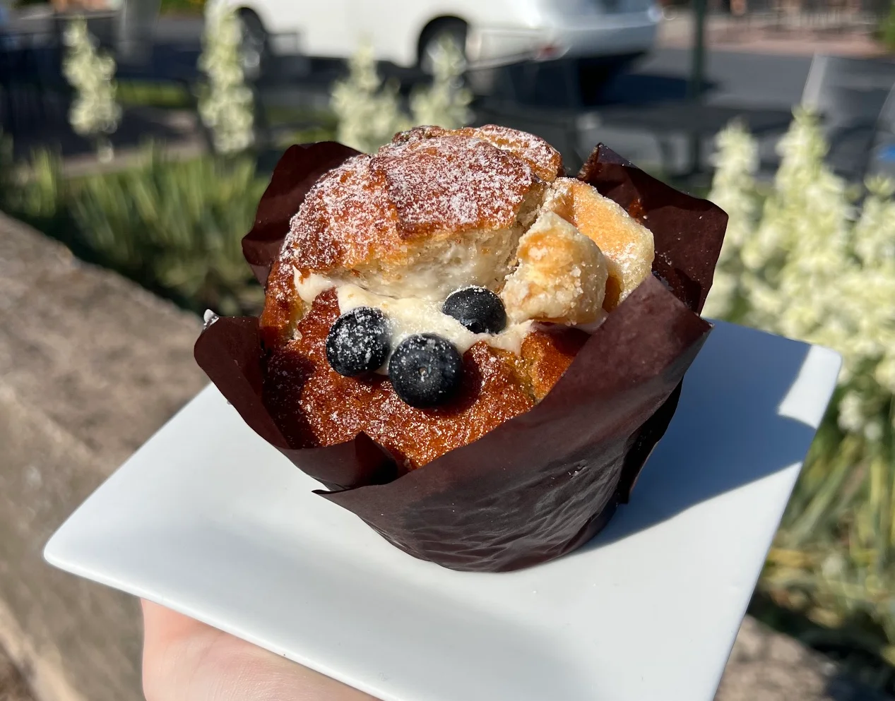 Stuffed Muffin- S'mores