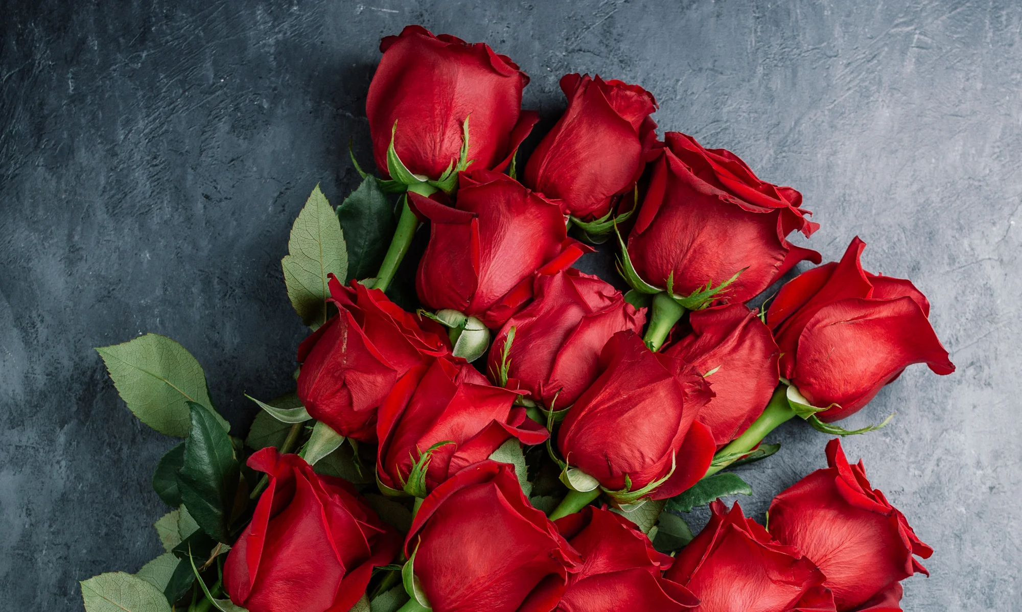 Bouquet of vibrant red roses with green leaves
