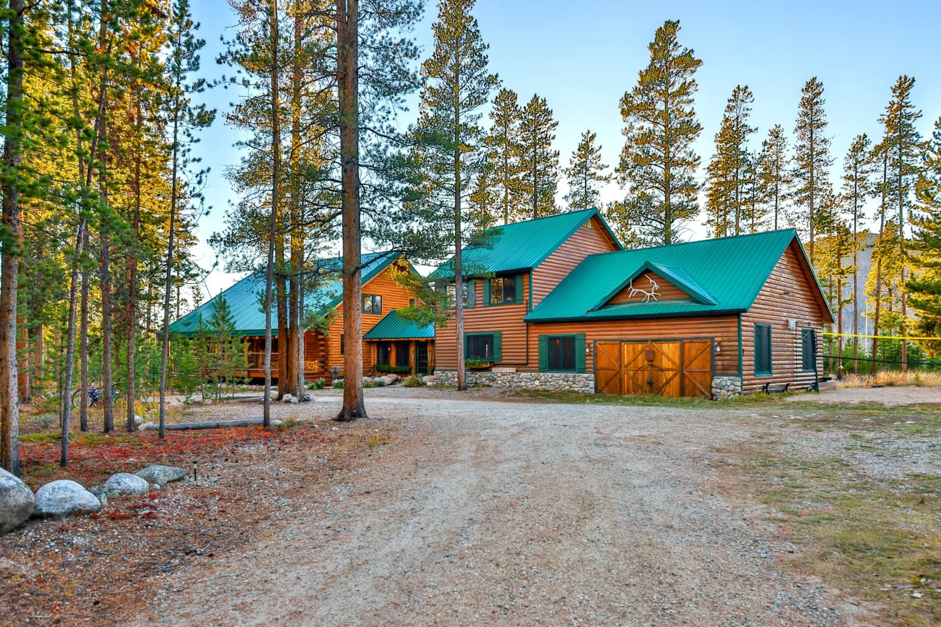 Beautiful log cabin surrounded by tall pine trees