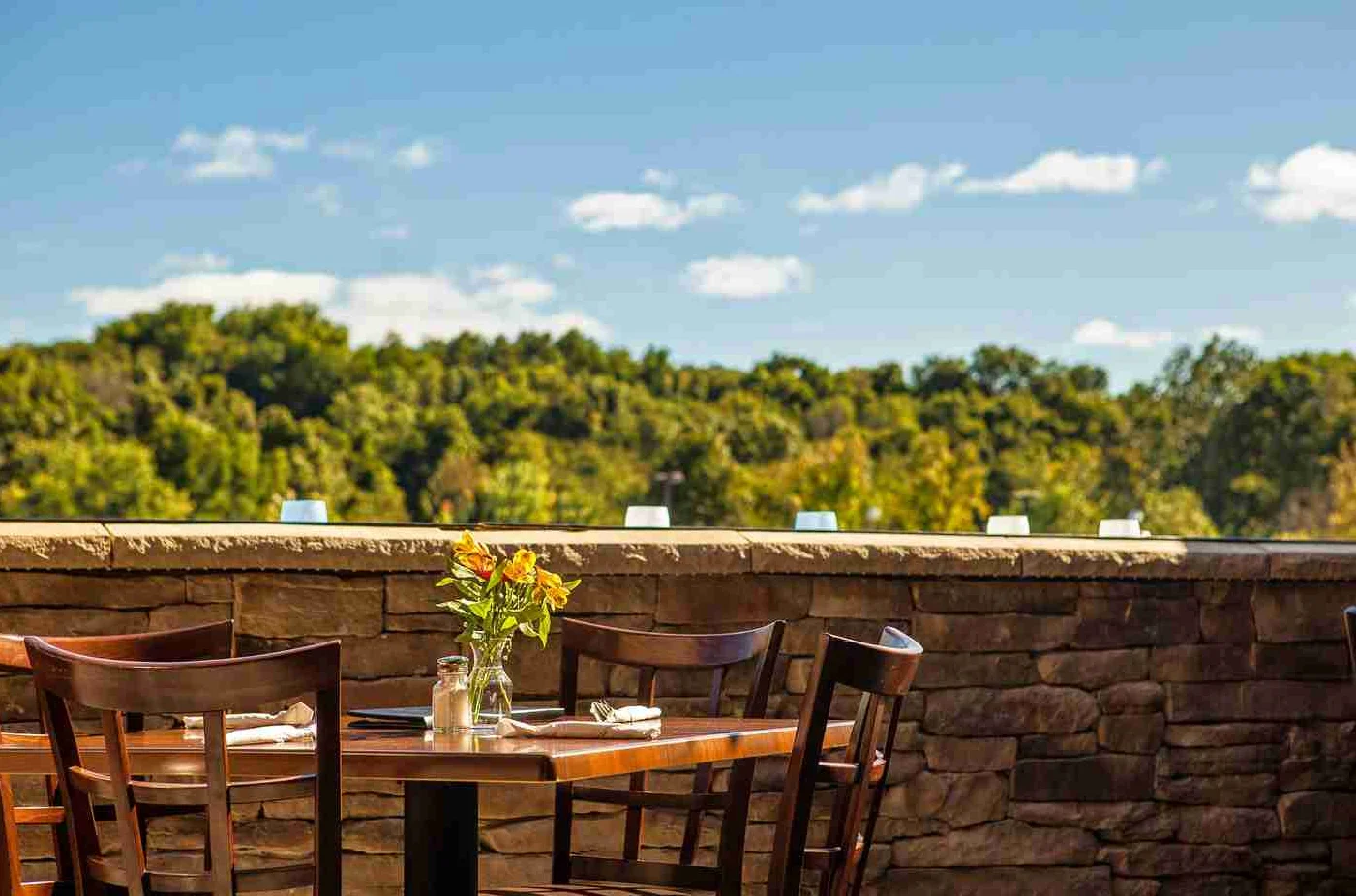 Outdoor dining area with scenic views and floral centerpiece