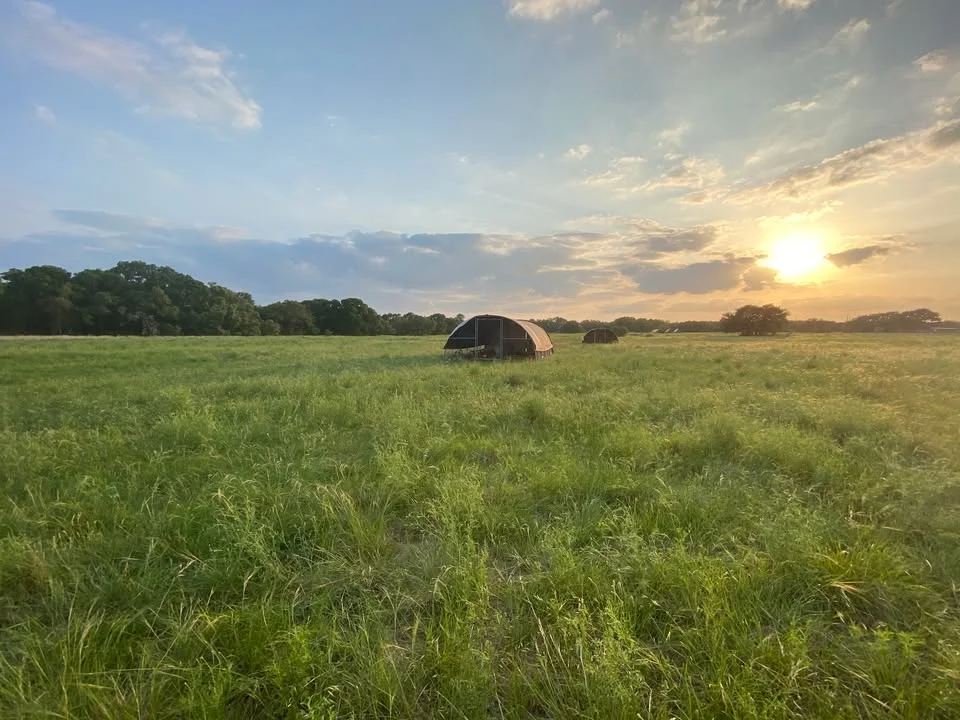 Scenic sunset over a grassy field with tents in the distance