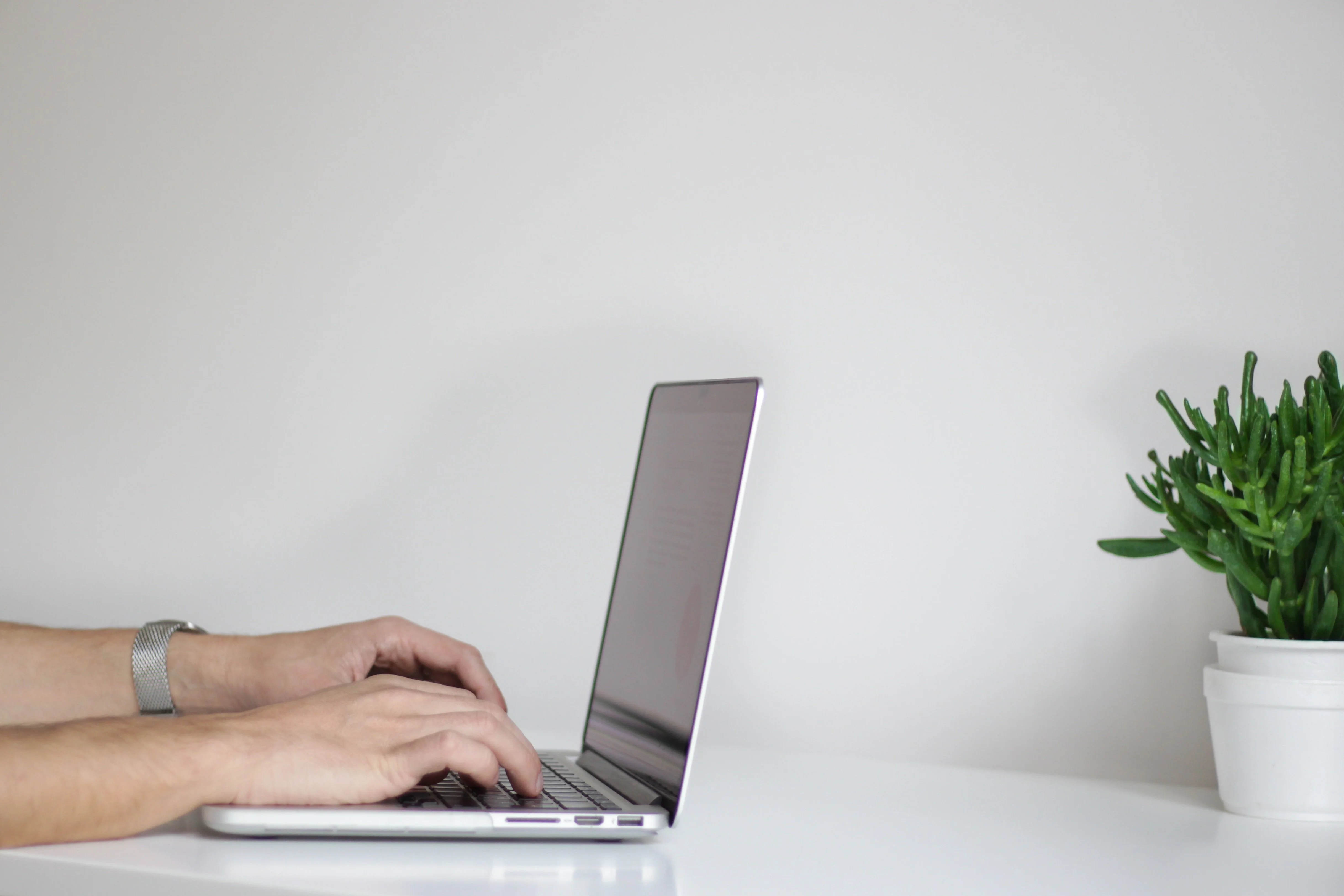 Person typing on a laptop with a potted plant nearby